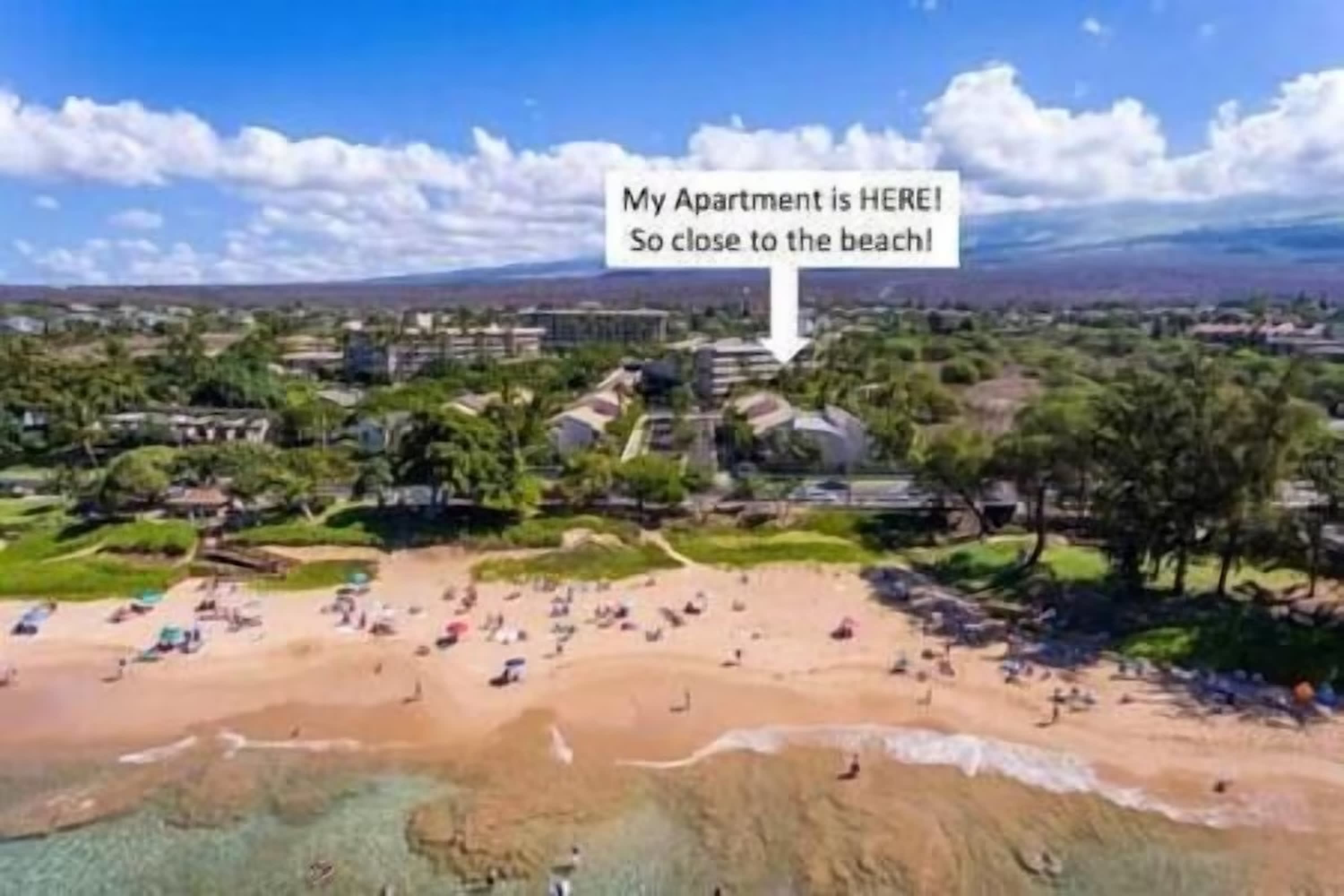 Oceanfront, Resort-Style Condos w/ Pool & Private Lanai — photo 40