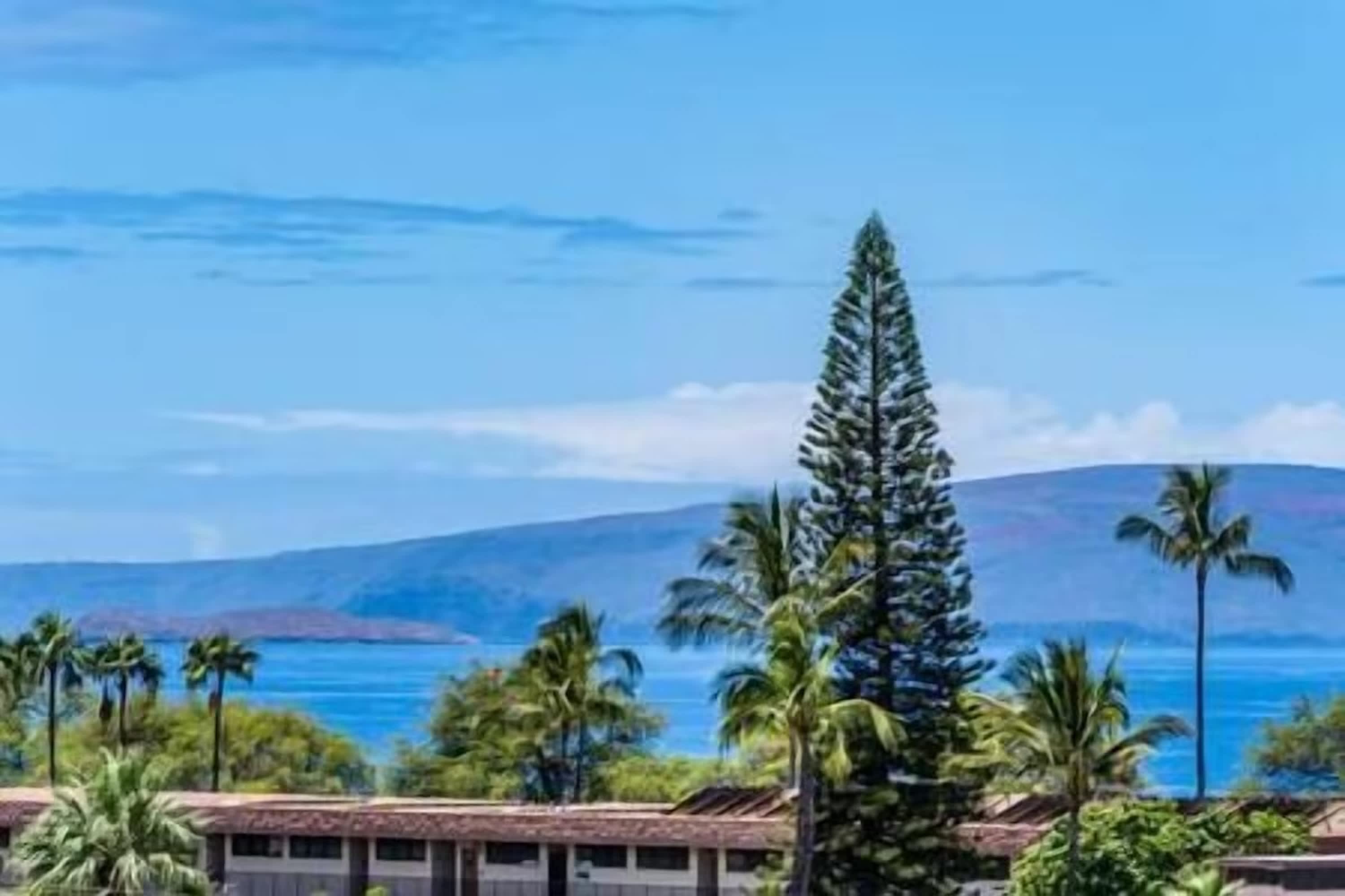 Oceanfront, Resort-Style Condos w/ Pool & Private Lanai — photo 55