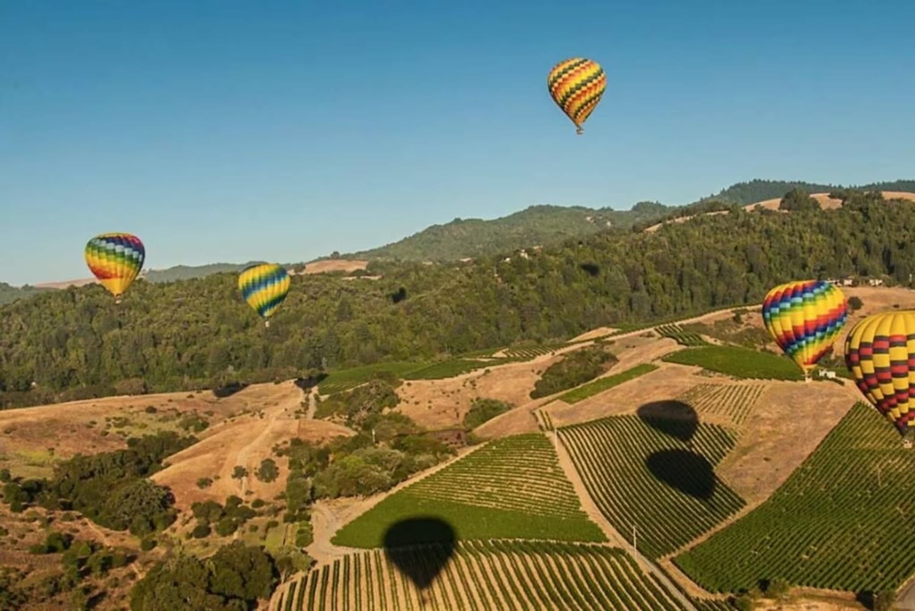 2 Private Napa Condos | Sleeps 6 | 30+ Nights OK — photo 41