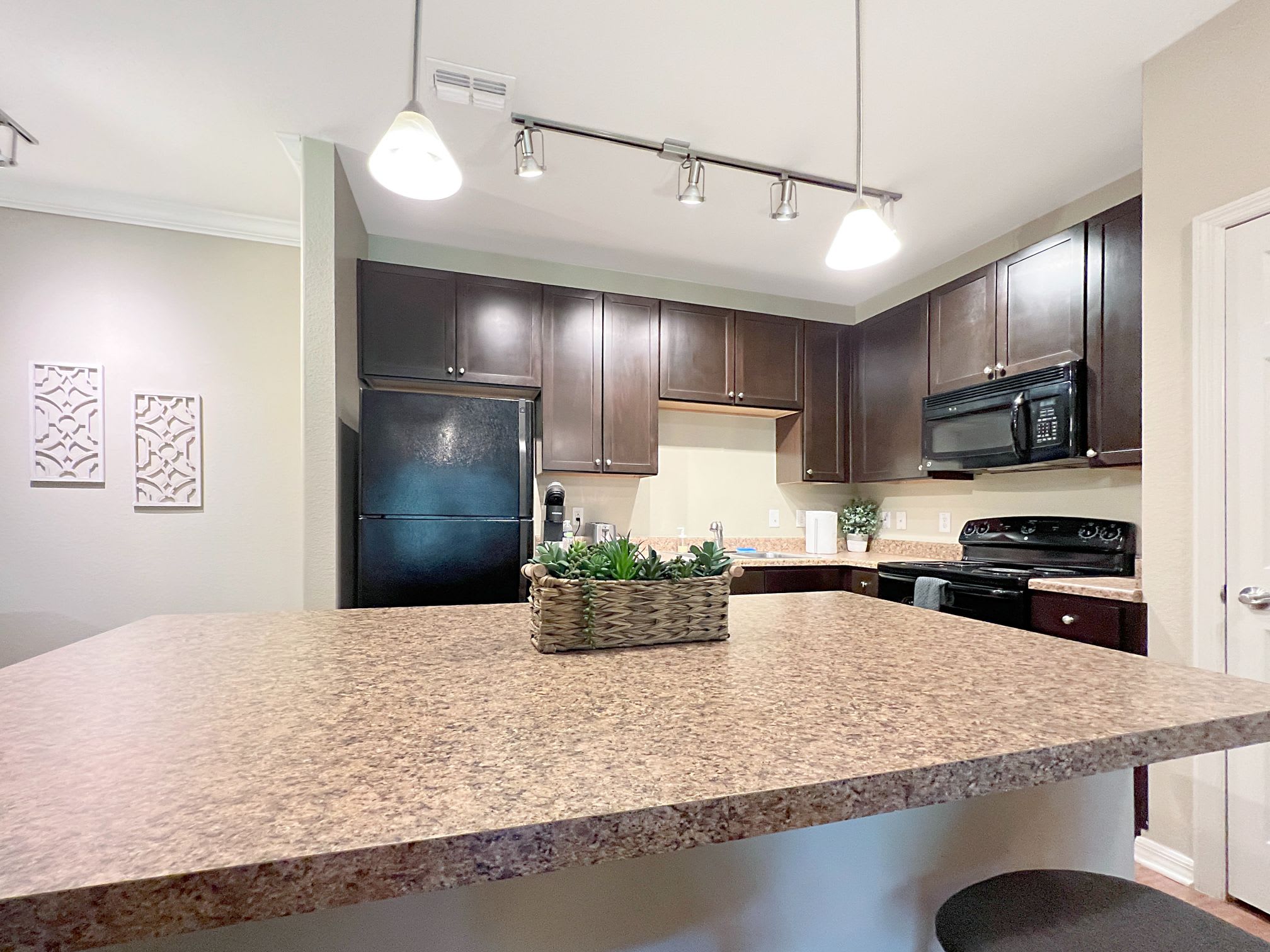 1st Floor Apt with Nature Views, Prime North Tampa