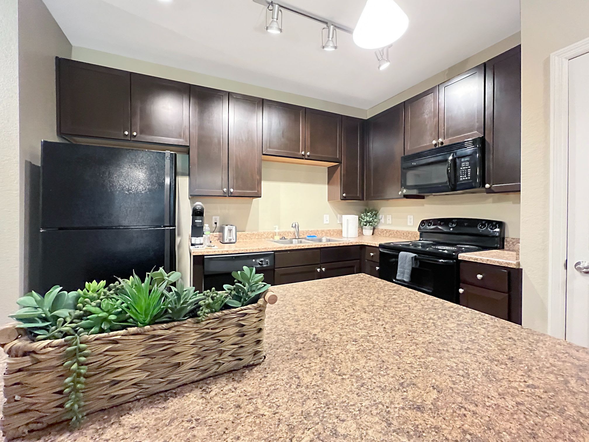 1st Floor Apt with Nature Views, Prime North Tampa