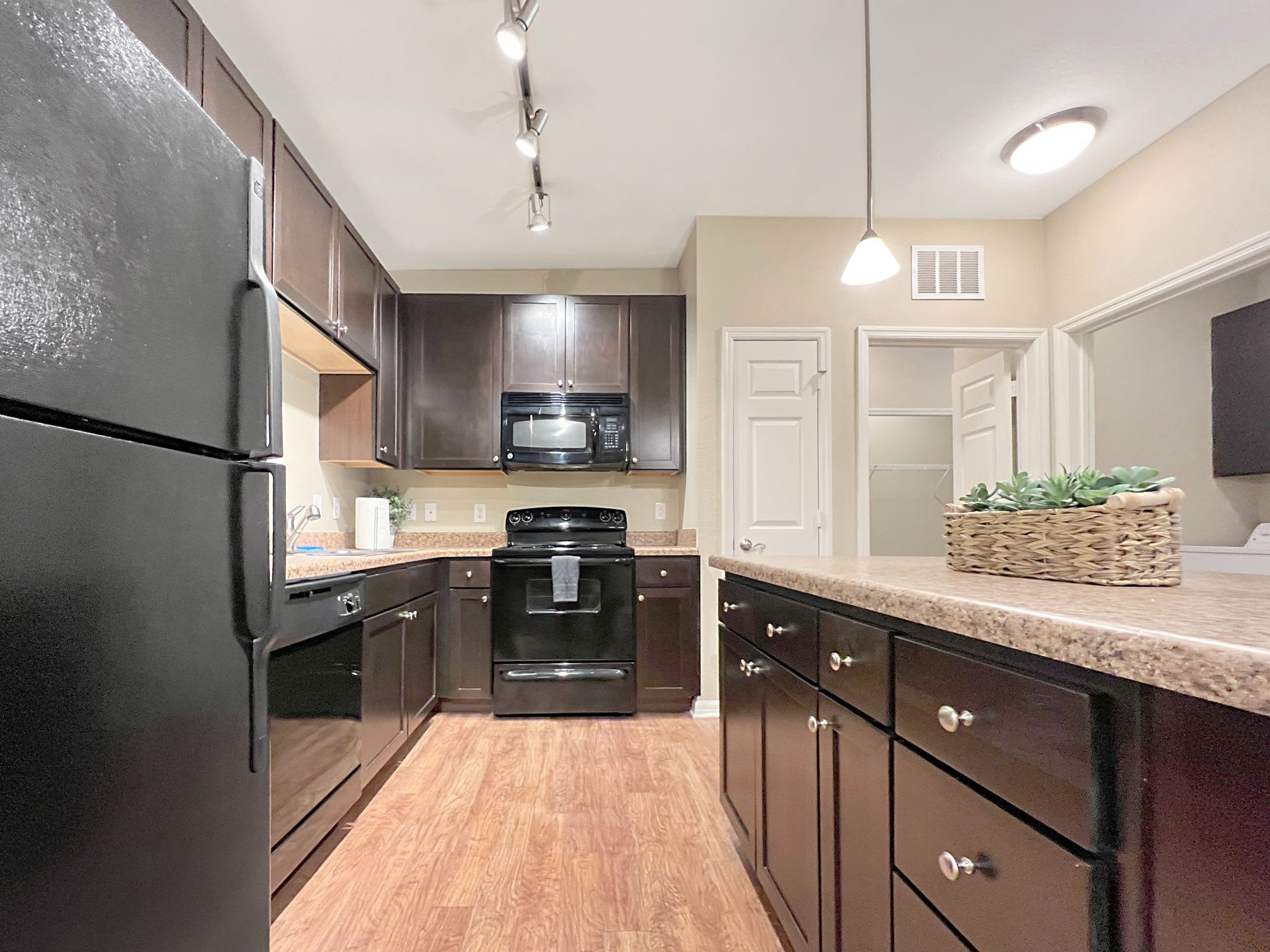 1st Floor Apt with Nature Views, Prime North Tampa