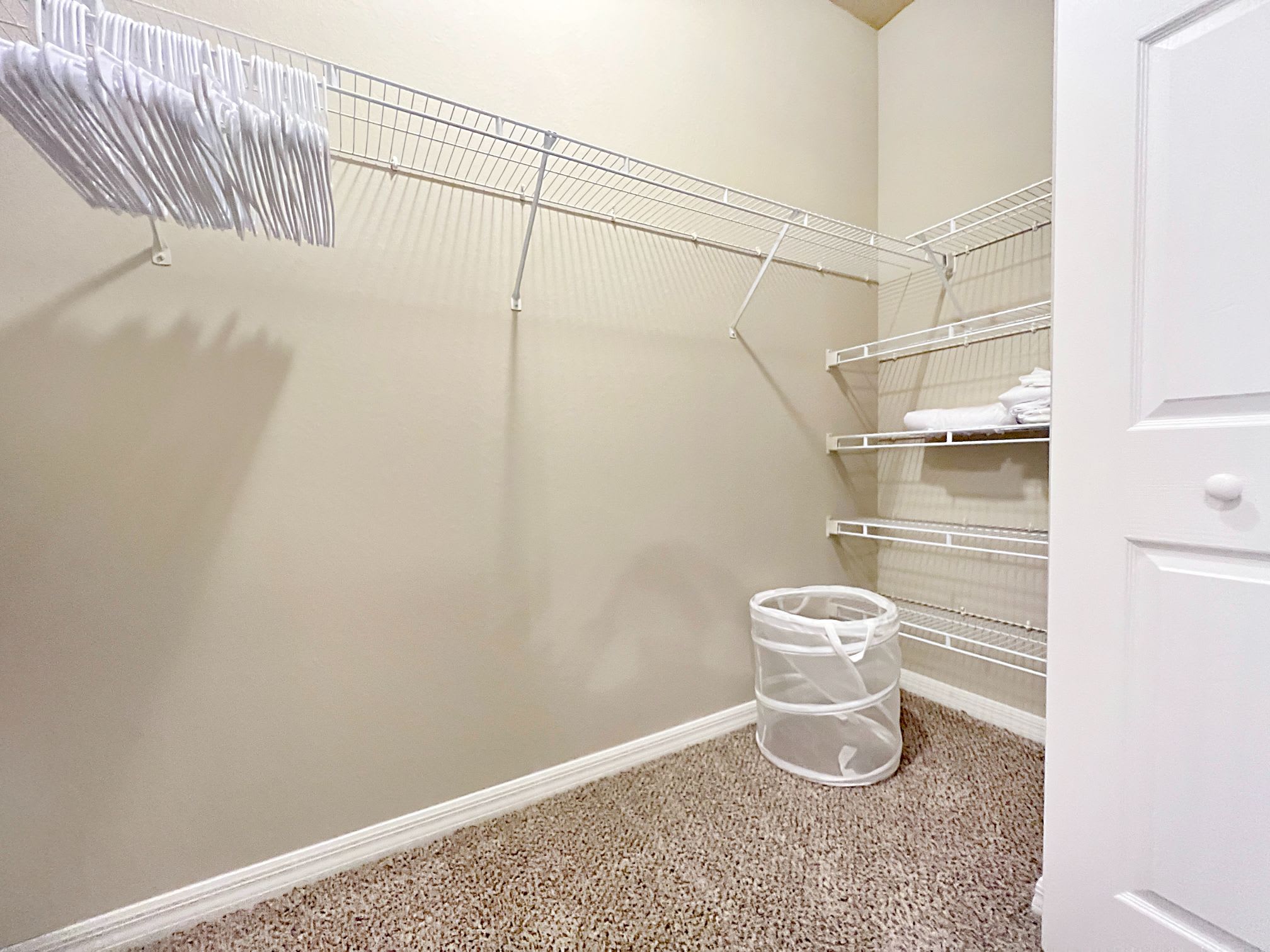 1st Floor Apt with Nature Views, Prime North Tampa