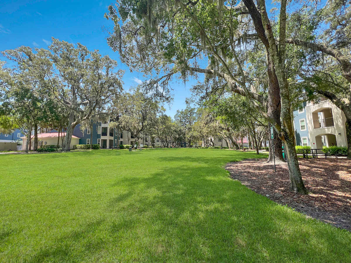 1st Floor Apt with Nature Views, Prime North Tampa