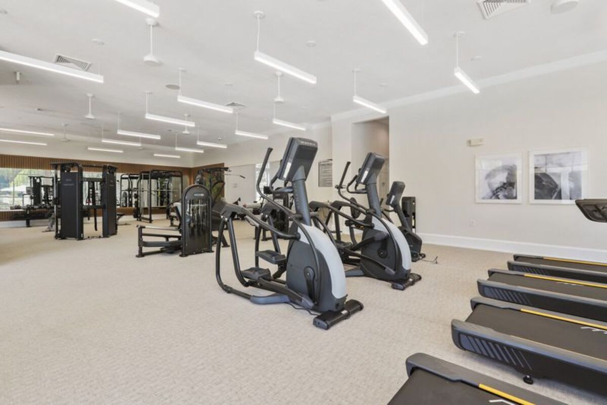 1st Floor Apt with Nature Views, Prime North Tampa