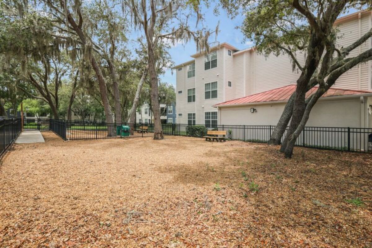 1st Floor Apt with Nature Views, Prime North Tampa