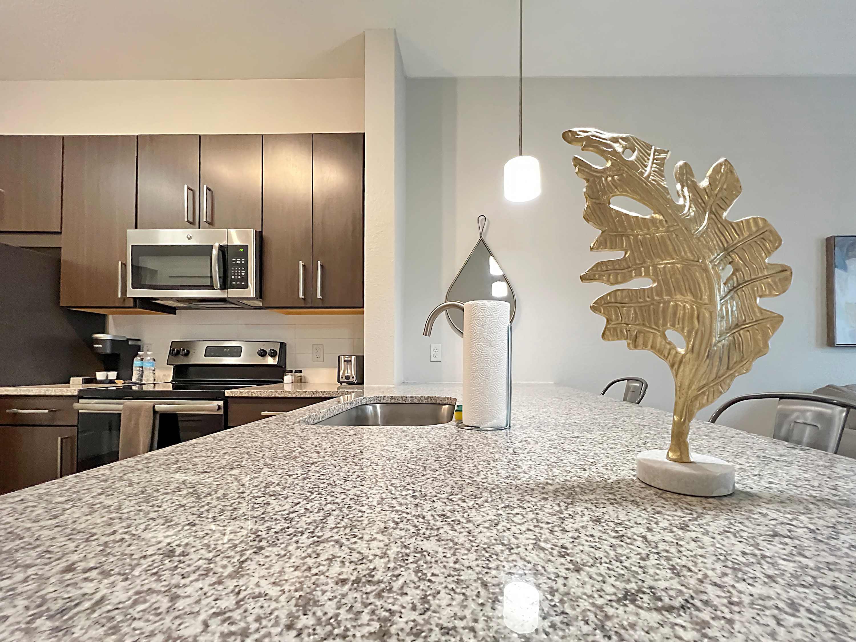 1st Floor in the Heart of Downtown, Pool Views