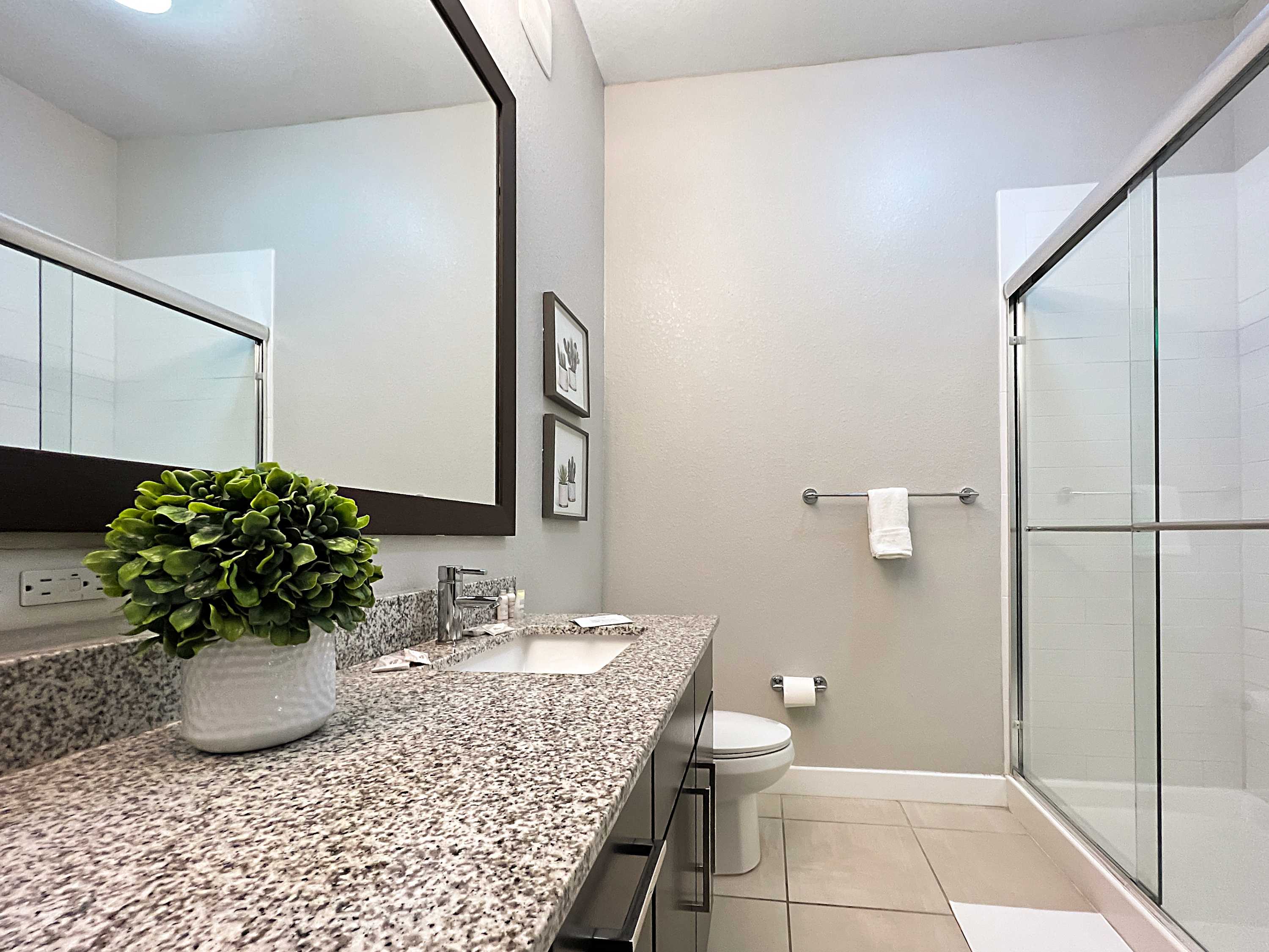 1st Floor in the Heart of Downtown, Pool Views