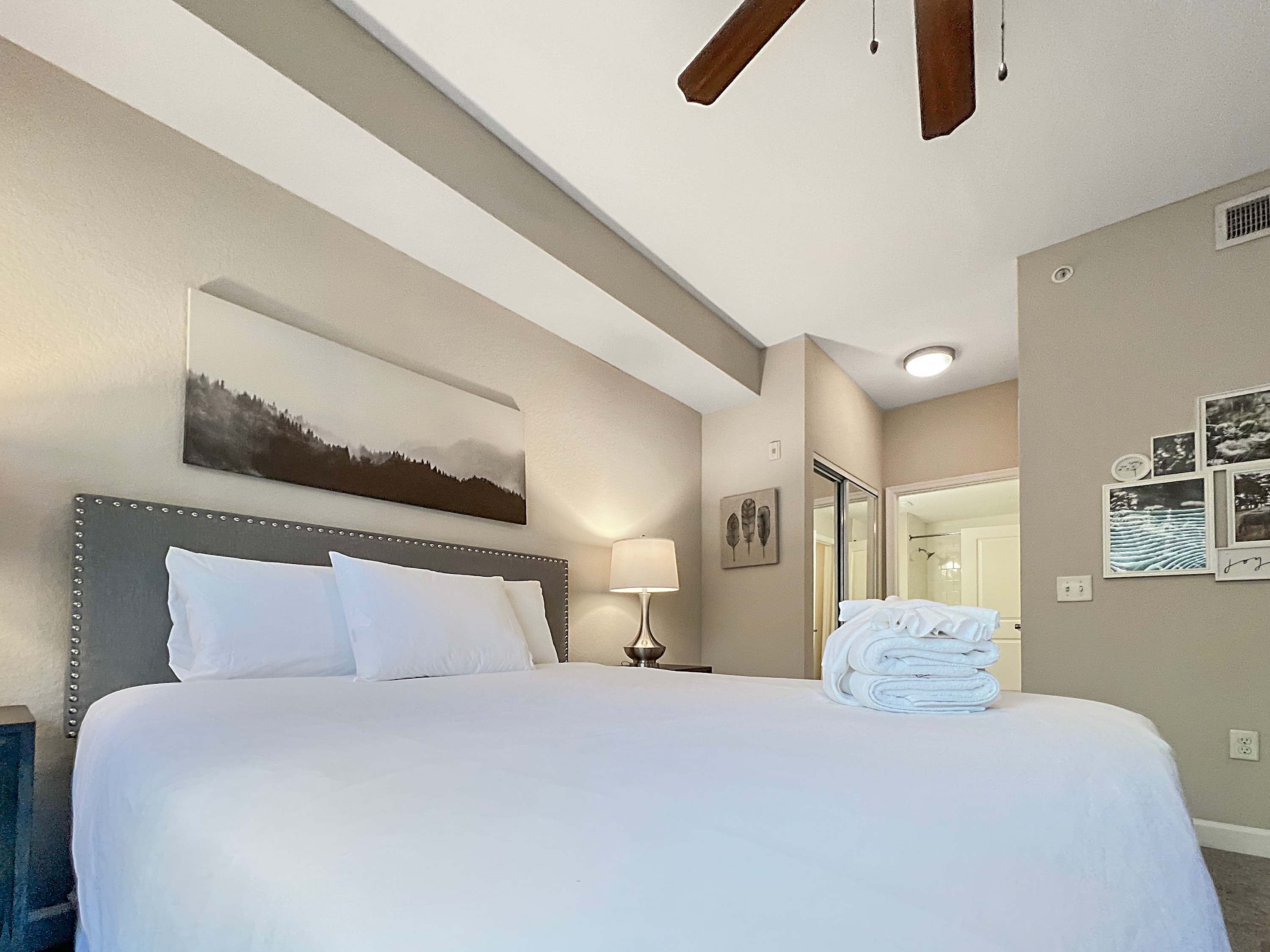 Style & Comfort in Central Tampa, Near Everything