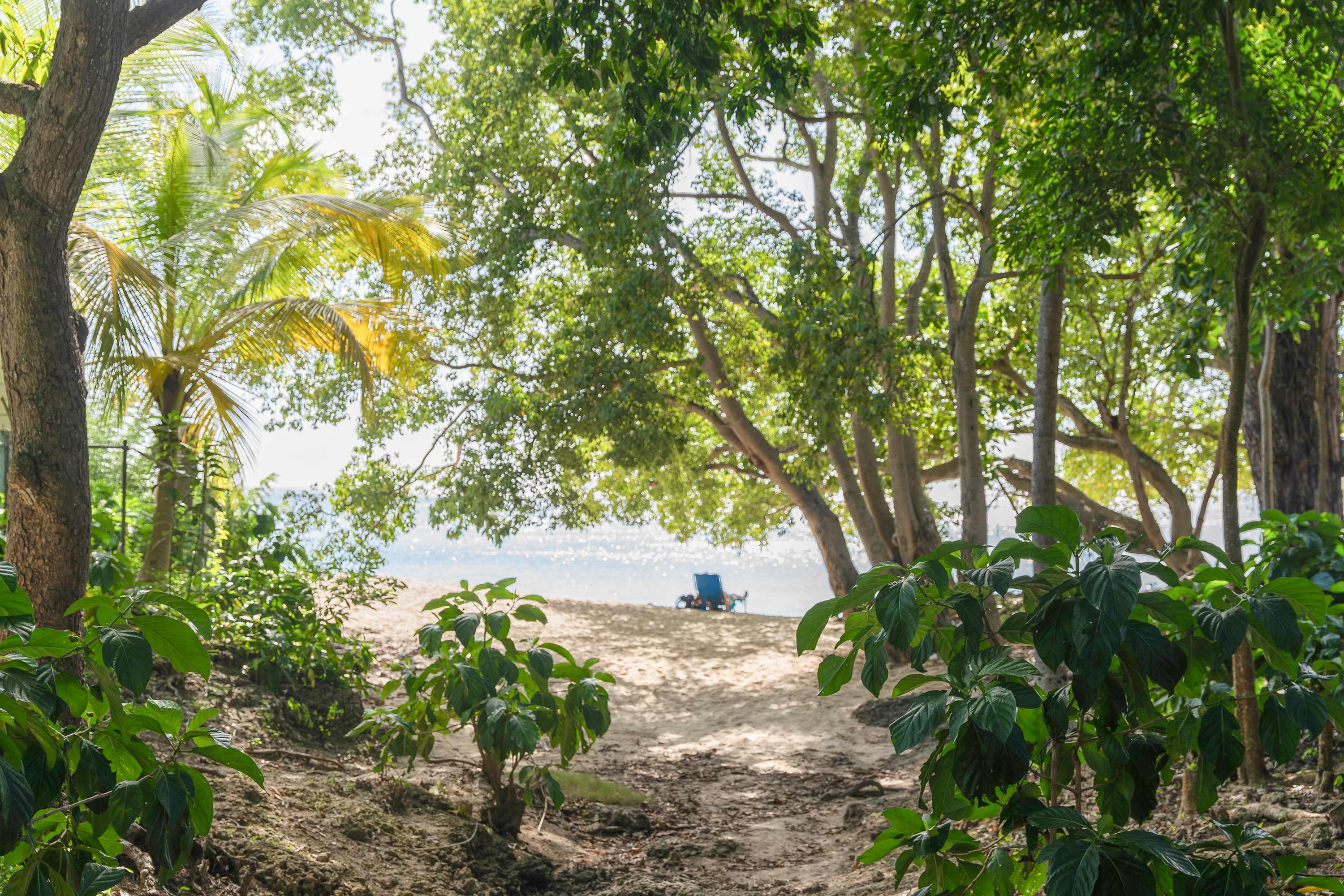 New Luxury 2BR Home with Private Pool & Bath Tub! Just a 3-Min Walk to the Turquoise waters of Reeds Bay Beach!