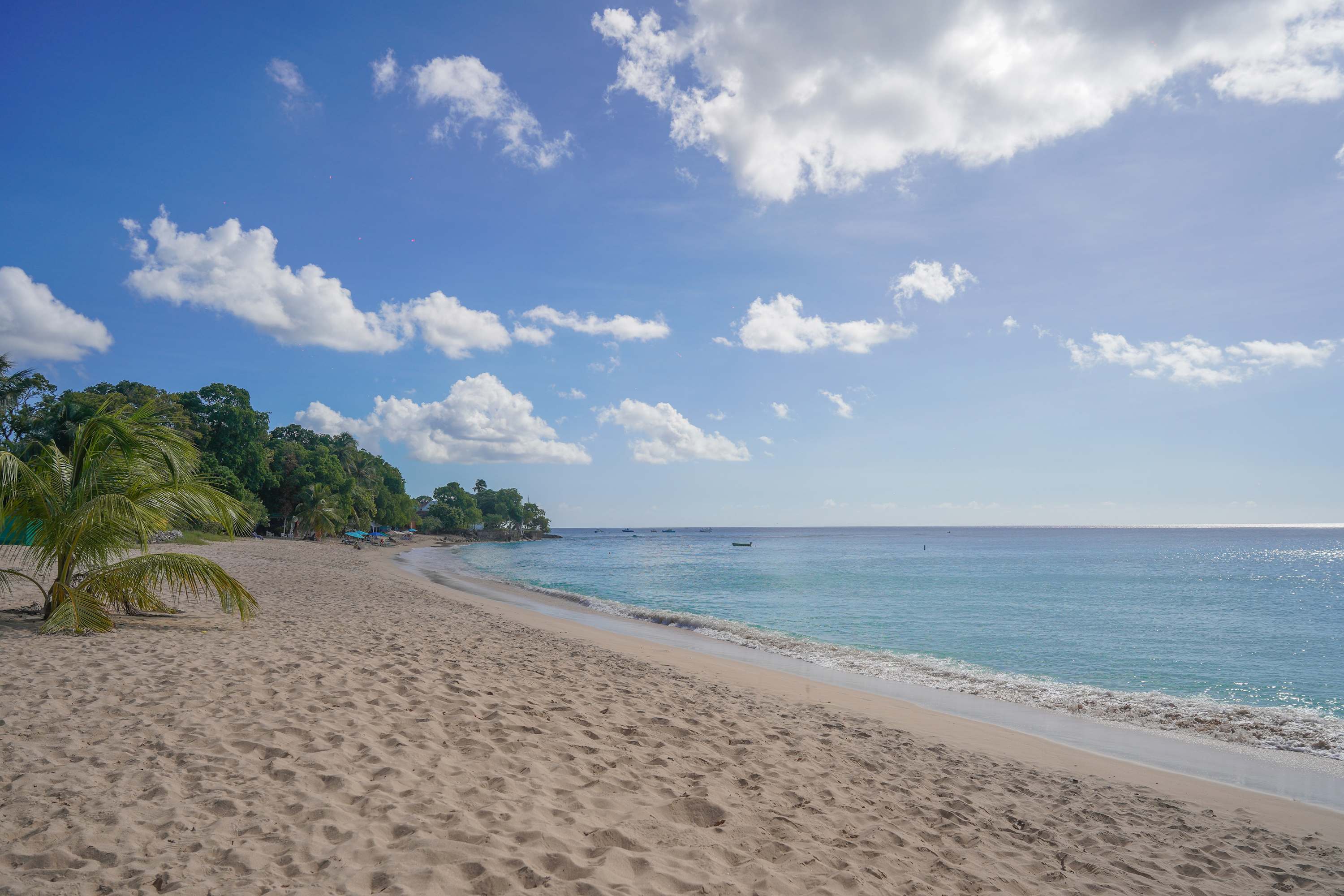 Reeds Bay, Footsteps from your Home !