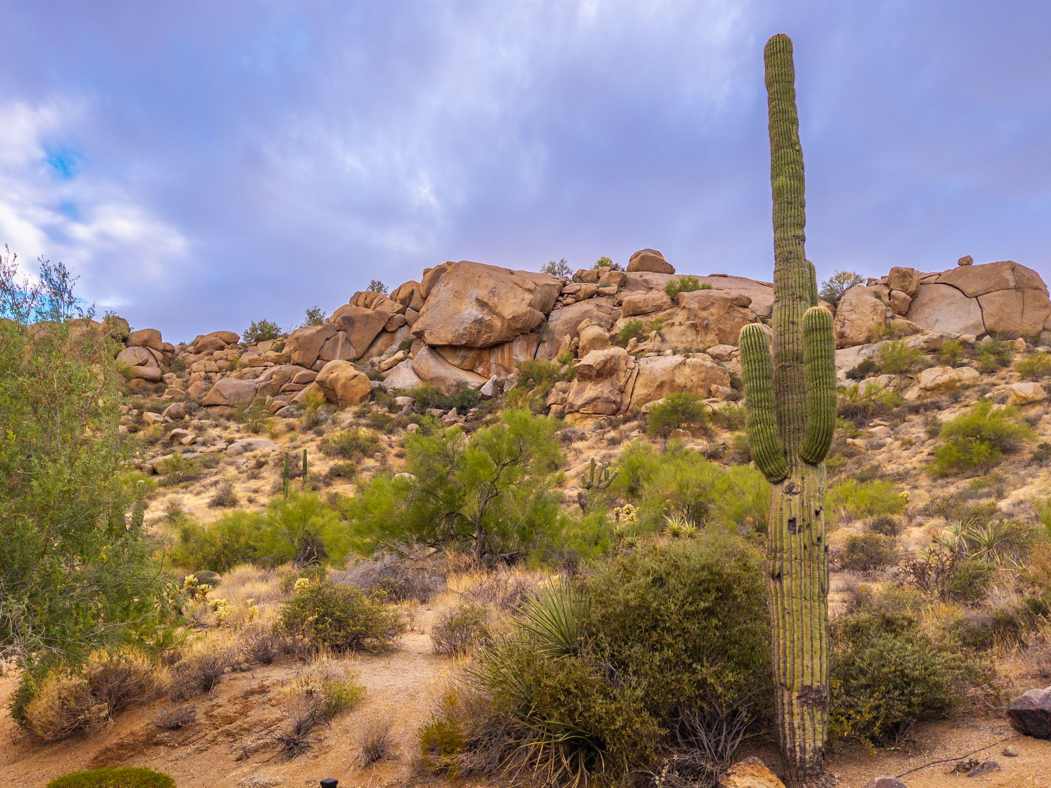 Rocks 101 in North Scottsdale, AZ by Luxus Vacation Properties