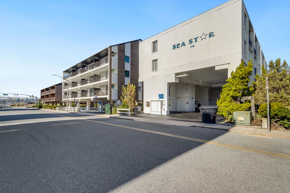 Sea Star 201