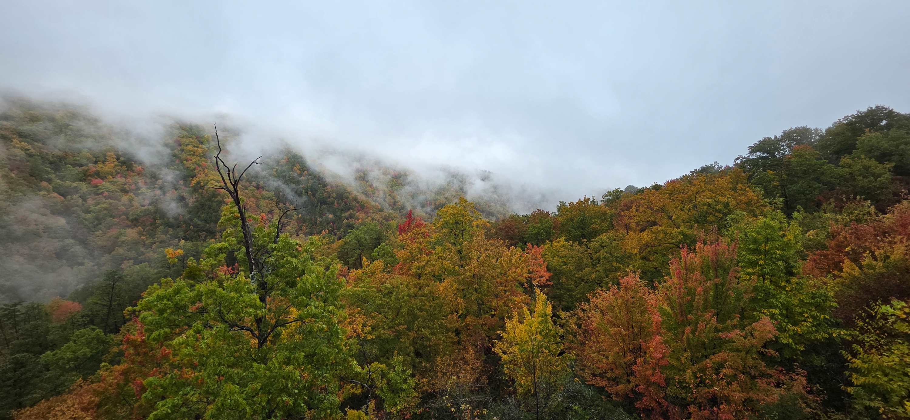 View 8