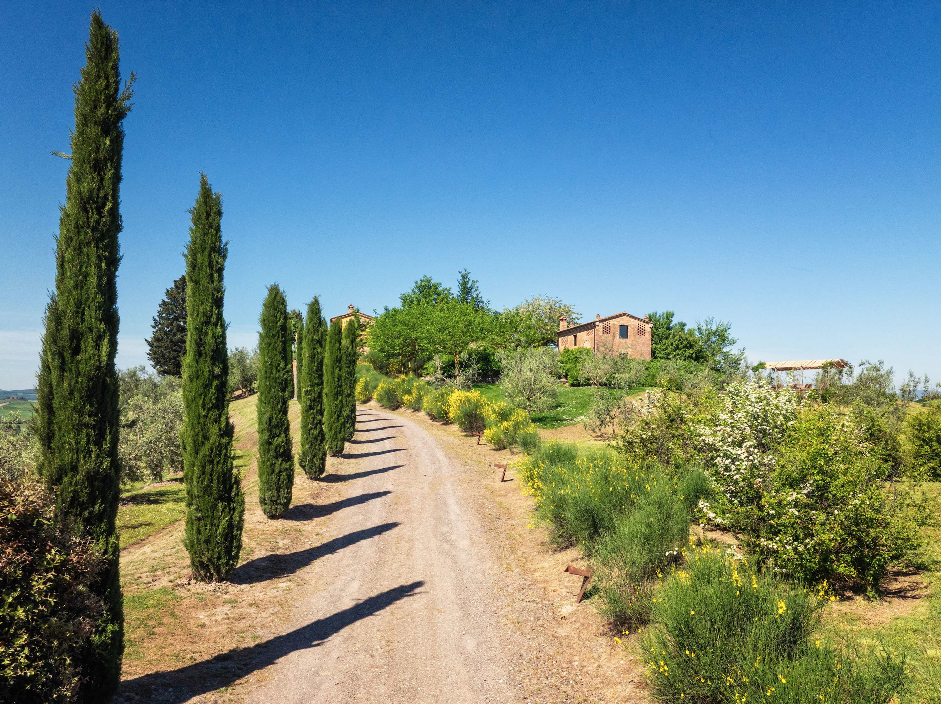 Podere Panico | Tuscany, Italy