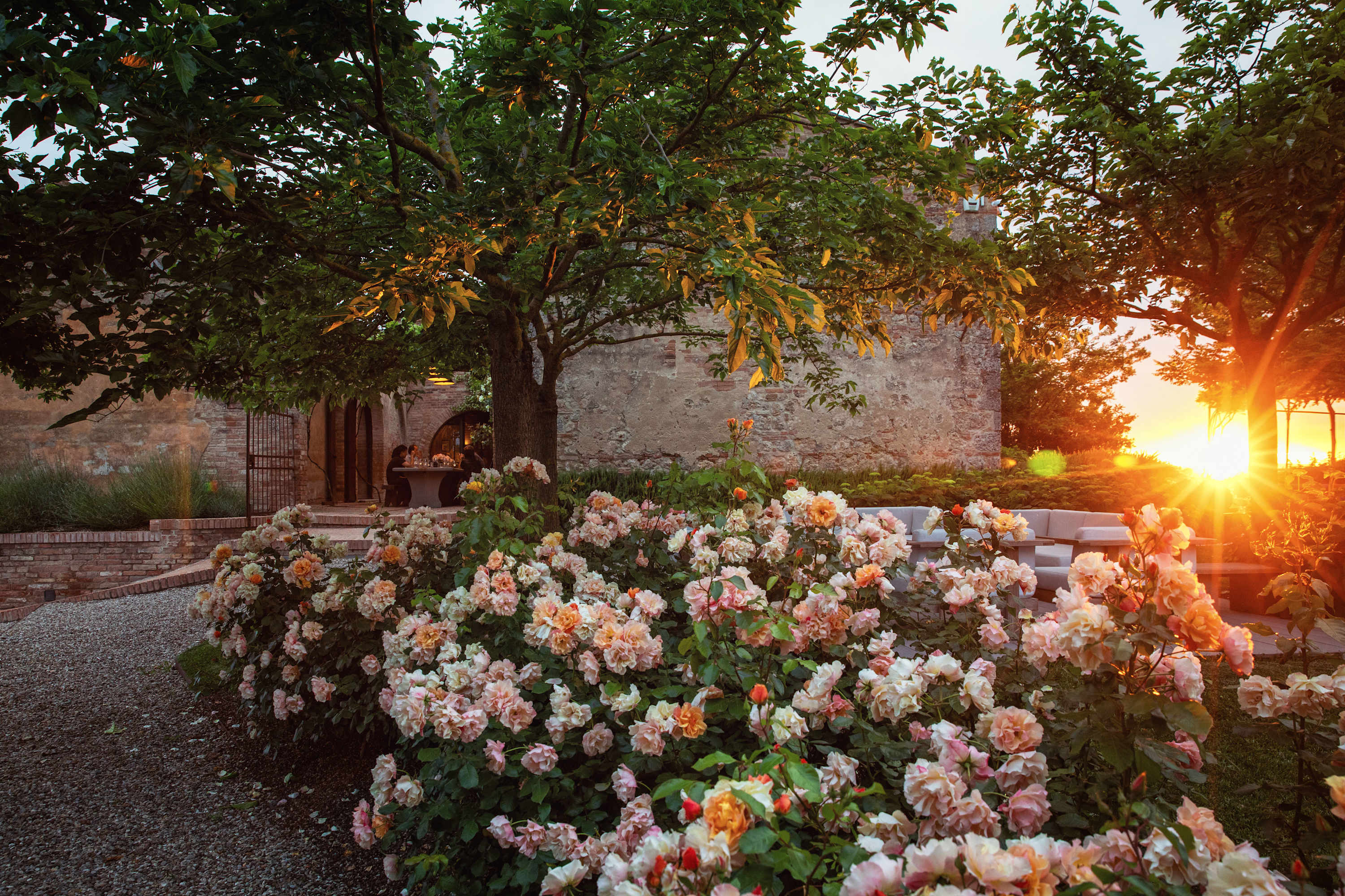 Podere Panico | Tuscany, Italy