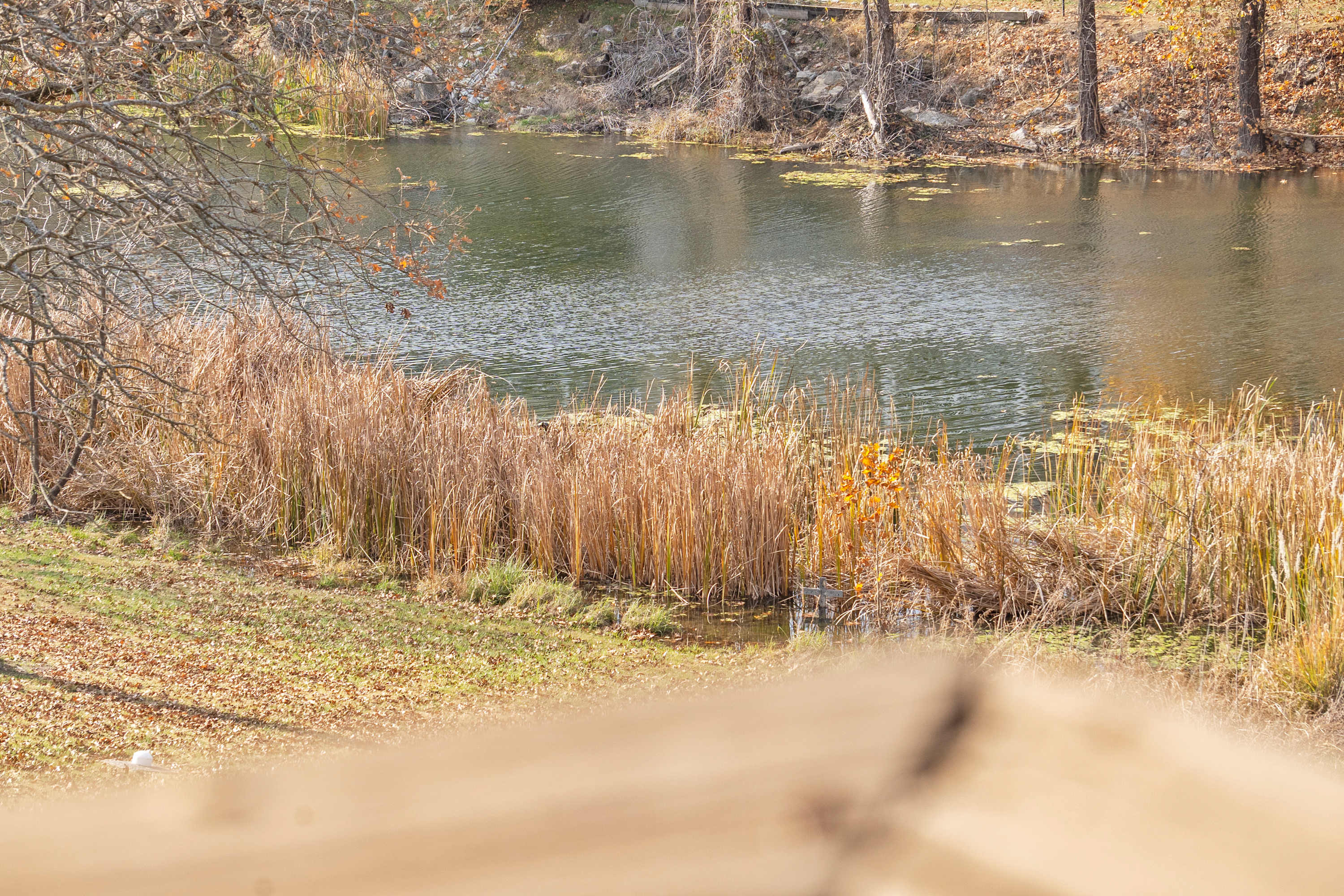 Fall Creek Loft | Photo 3