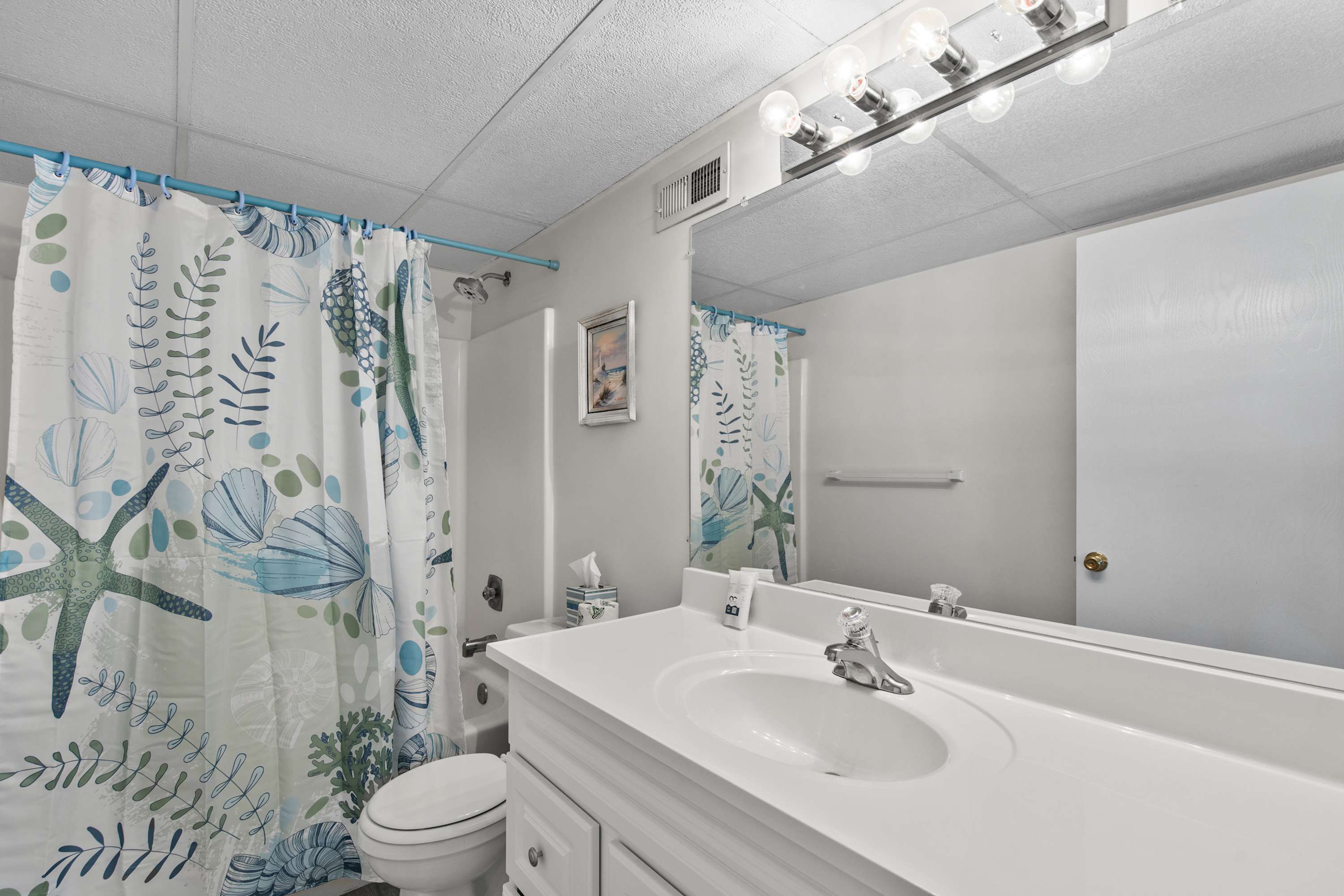 Angelfish 207