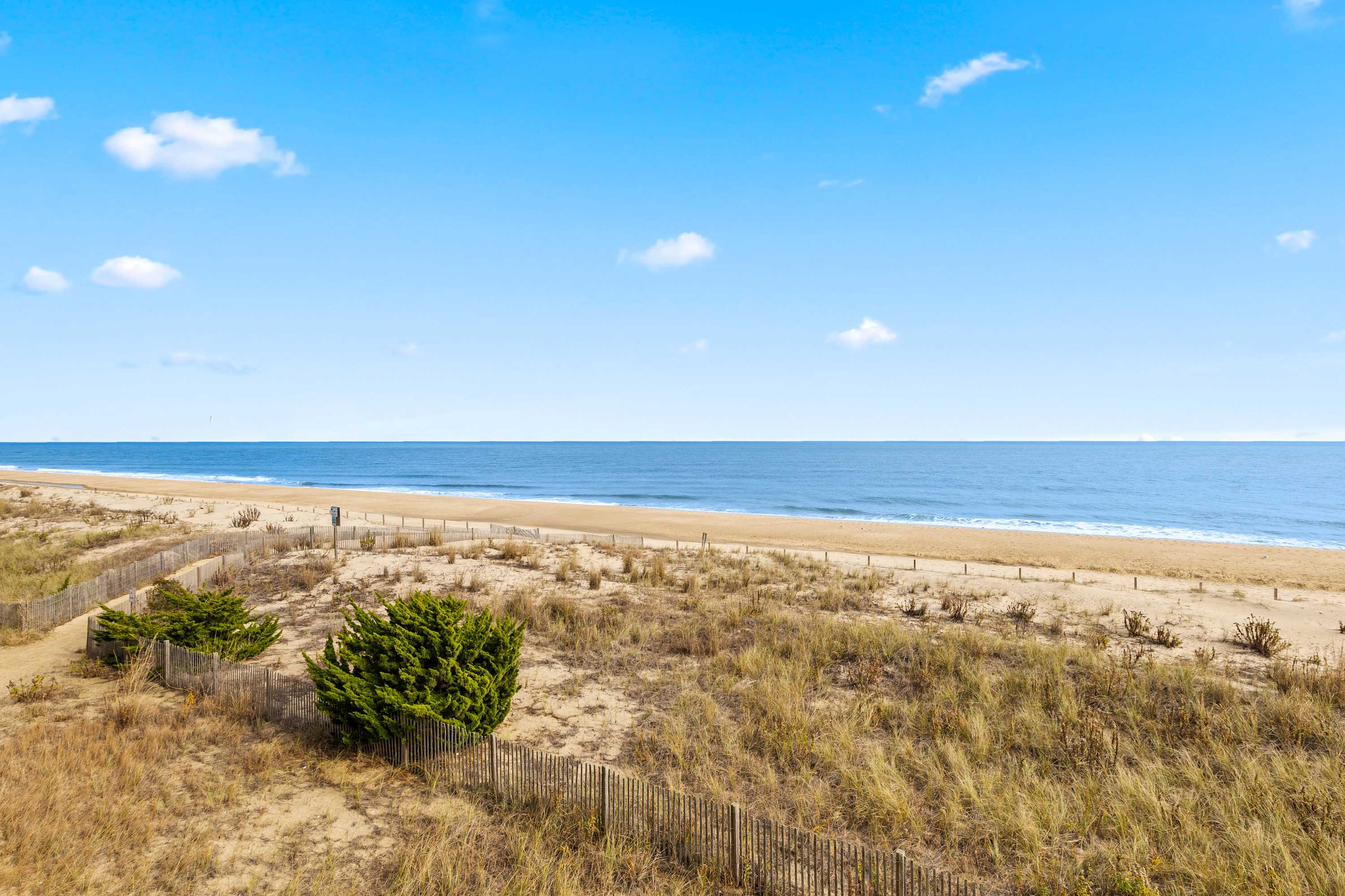 Golden Surf 203