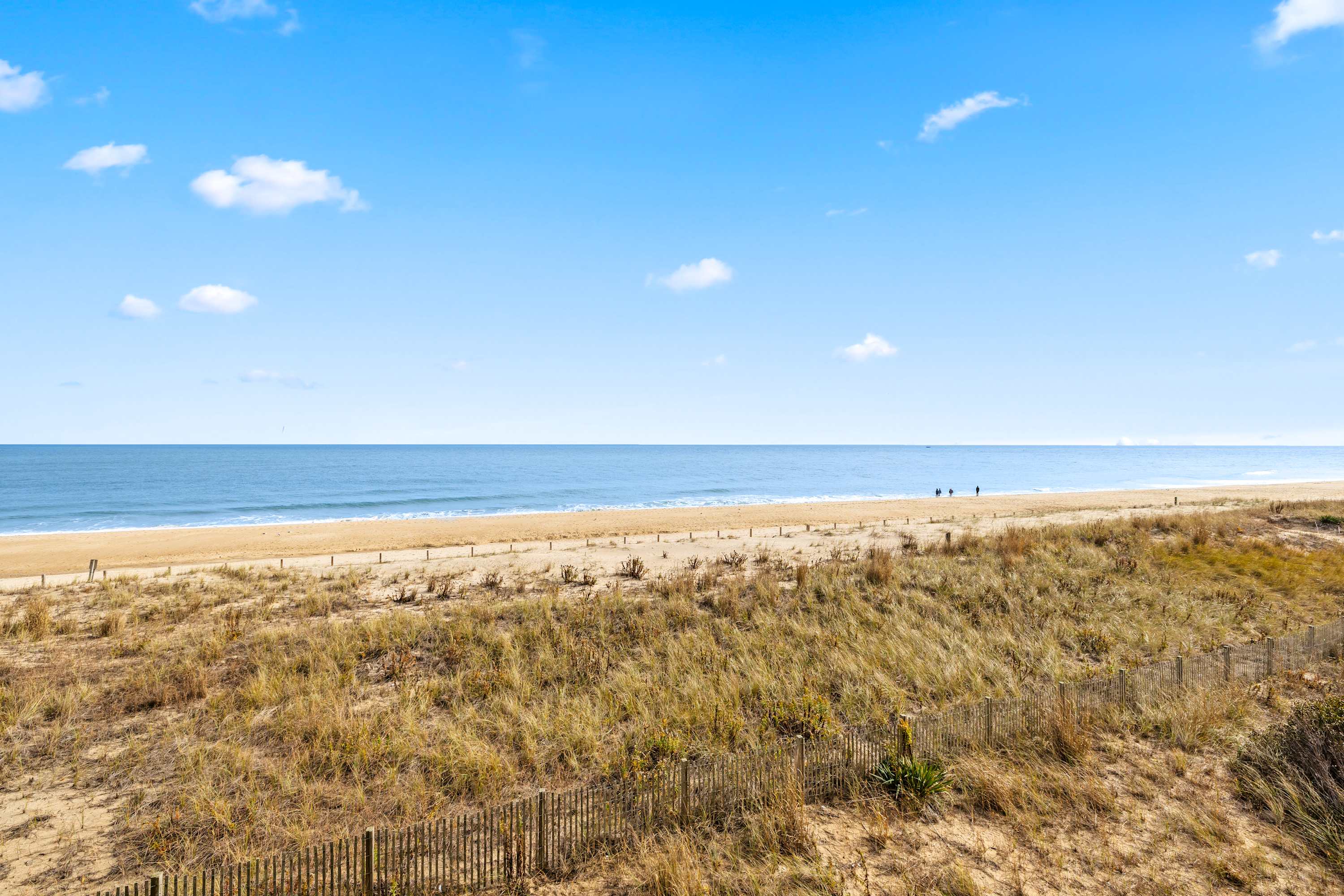 Golden Surf 203