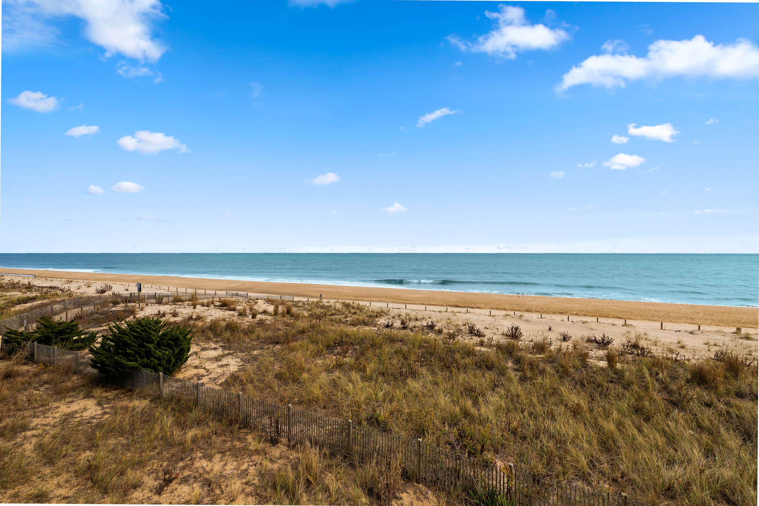 Golden Surf 204