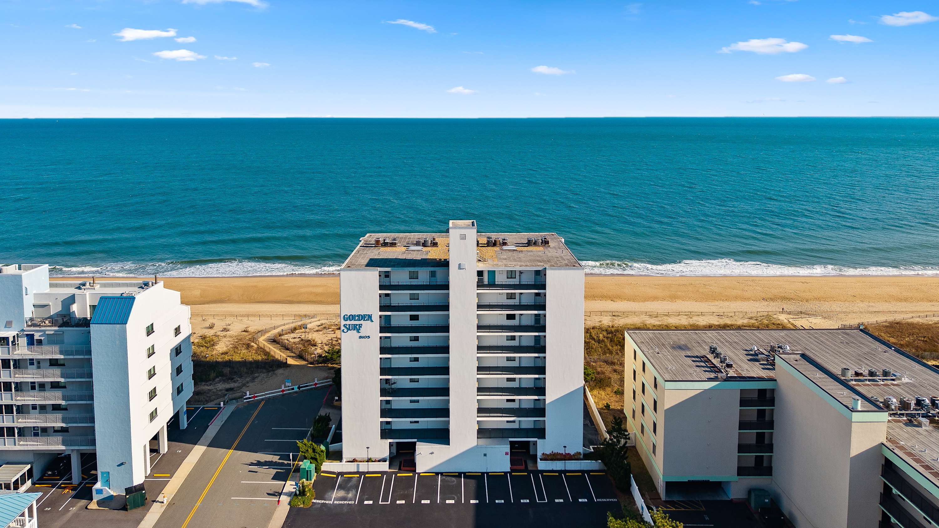 Golden Surf 203
