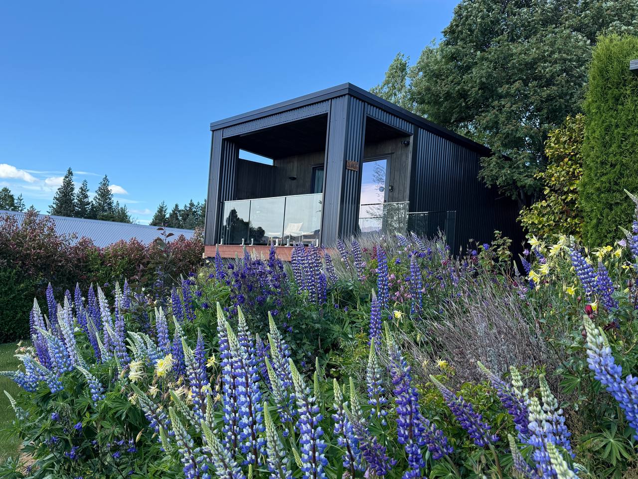 Benmore Hideaway Cozy Room with Mini Kitchenette