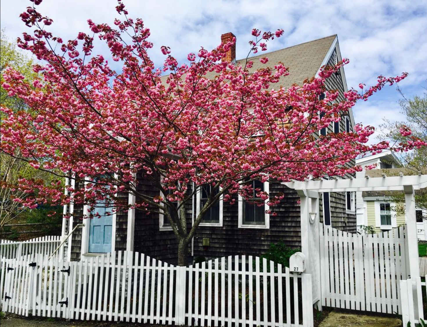 Photo 7 of Del Mar #11143