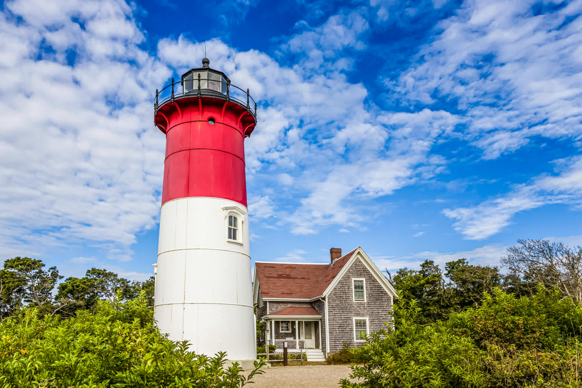 Photo 4 of Del Mar #14530