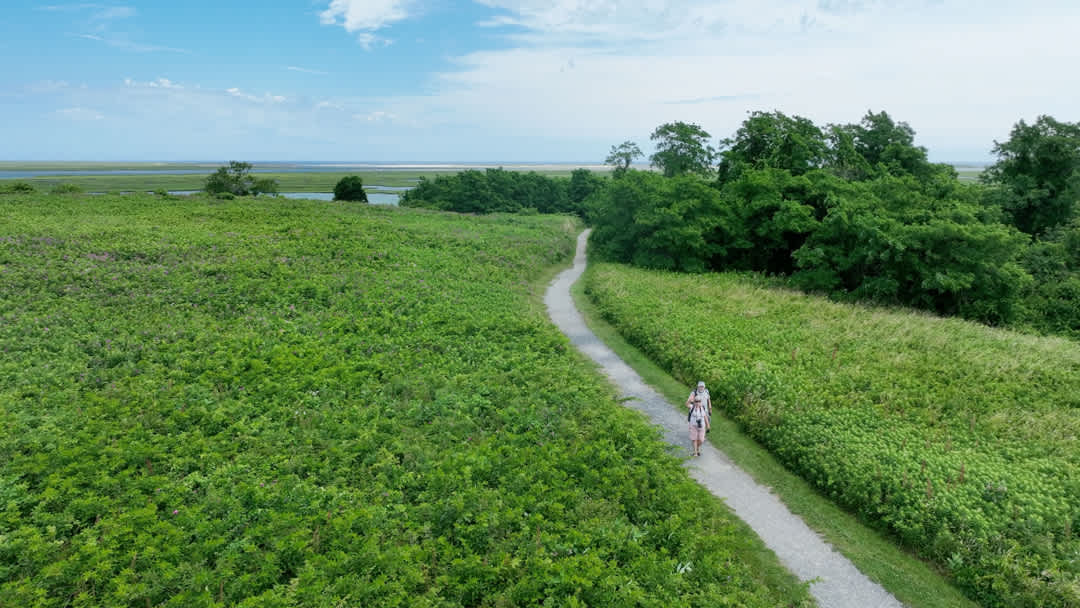 Photo 7 of Del Mar #14530