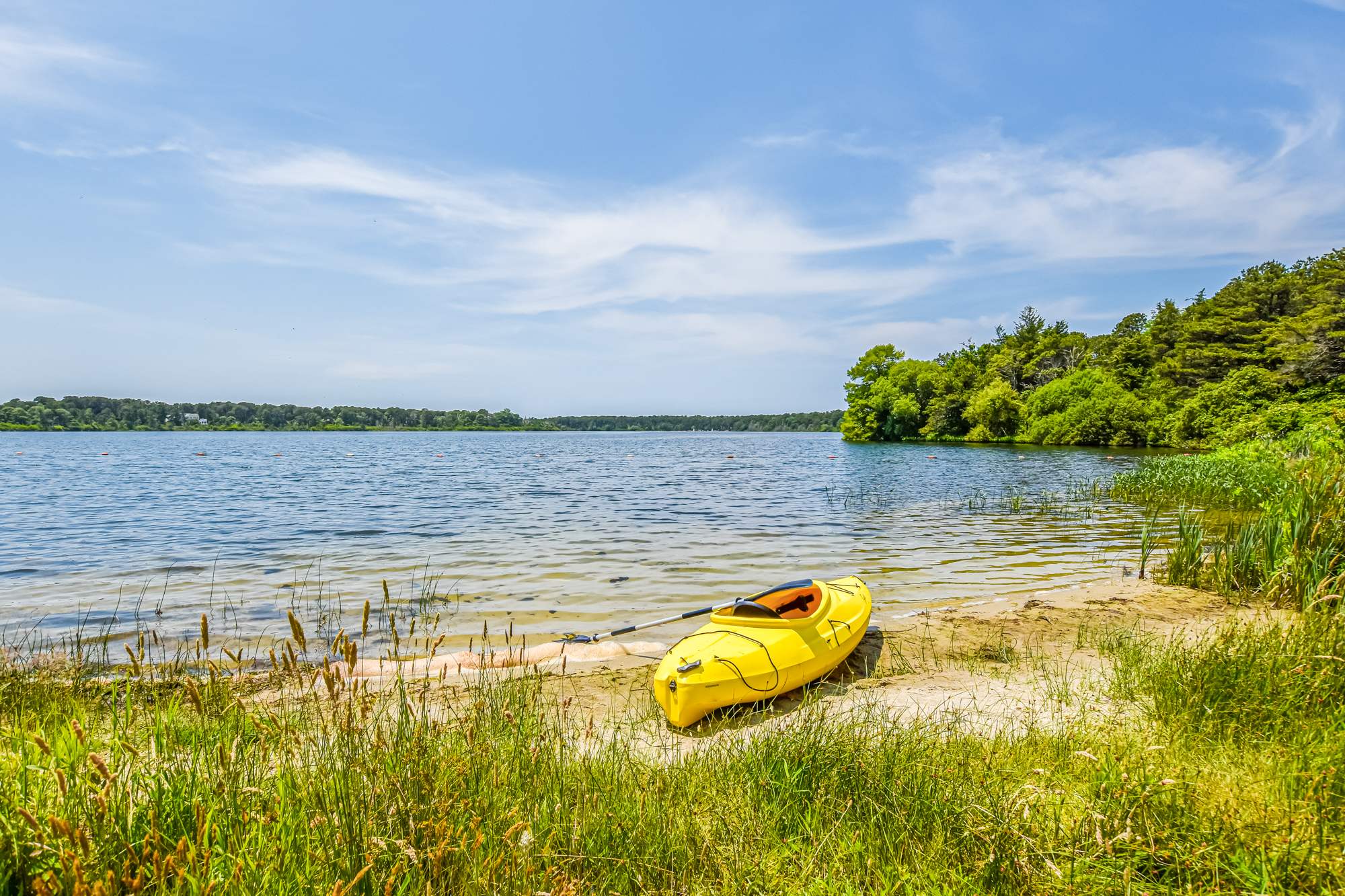 Photo 8 of Del Mar #14530