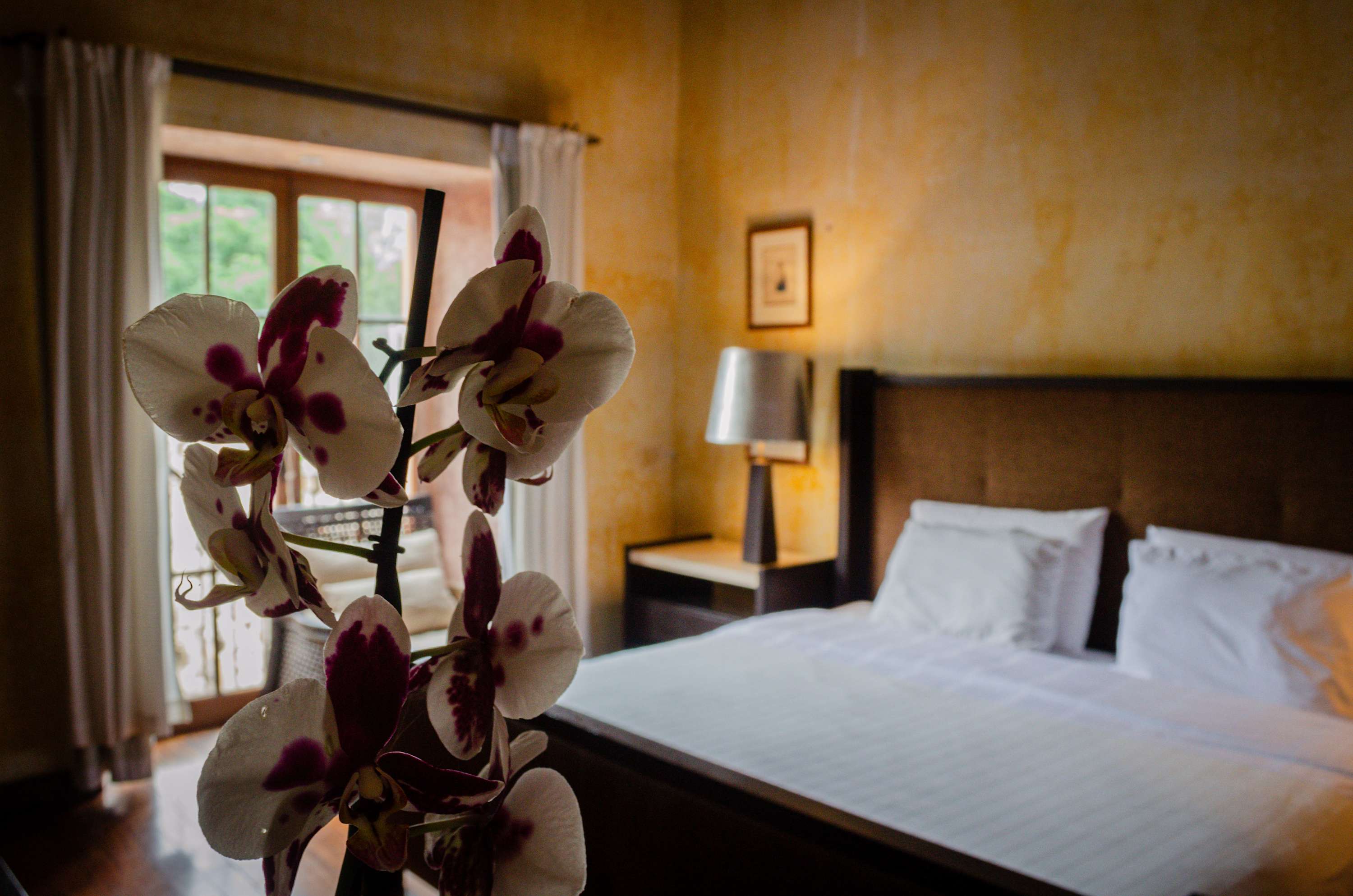 Boutique Poesia Stay, Pool in Antigua