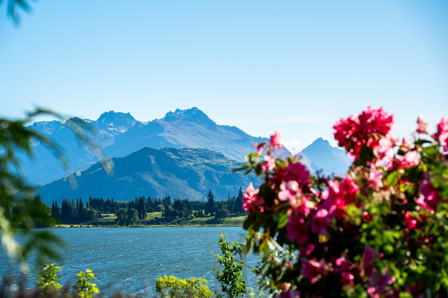 Queenstown luxury home booking