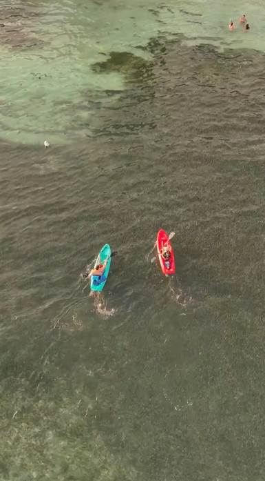 Enjoy our kayaks and soak up the sun, or paddle out for a peaceful ride on the waves.