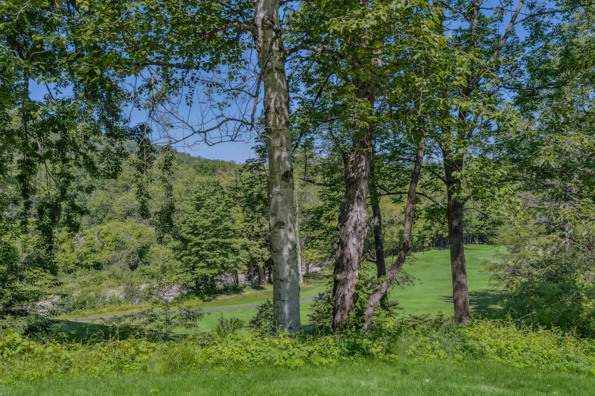 Highland 6th Hole & RiverView - Fairway Village 5A