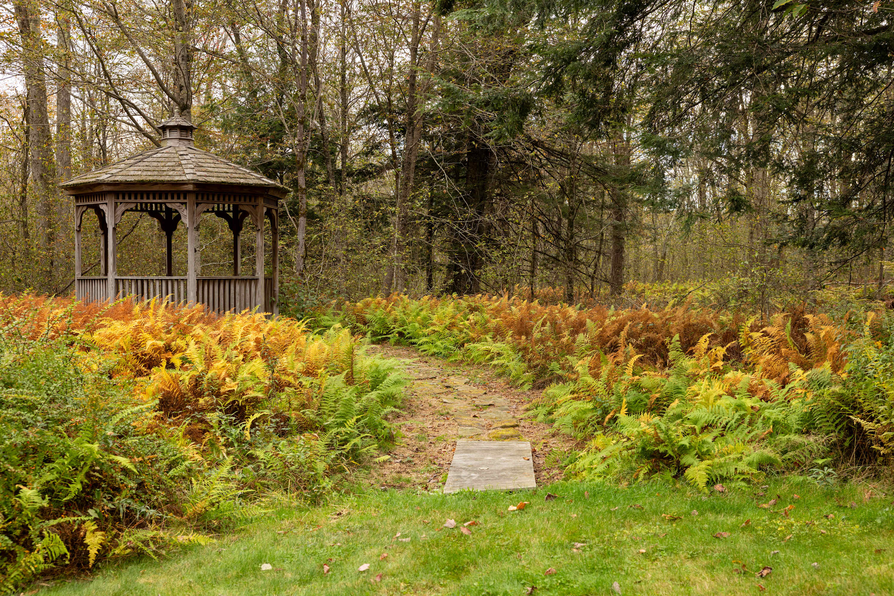 3BR Chalet: Deck, Fire Pit, Gazebo, Forest Views