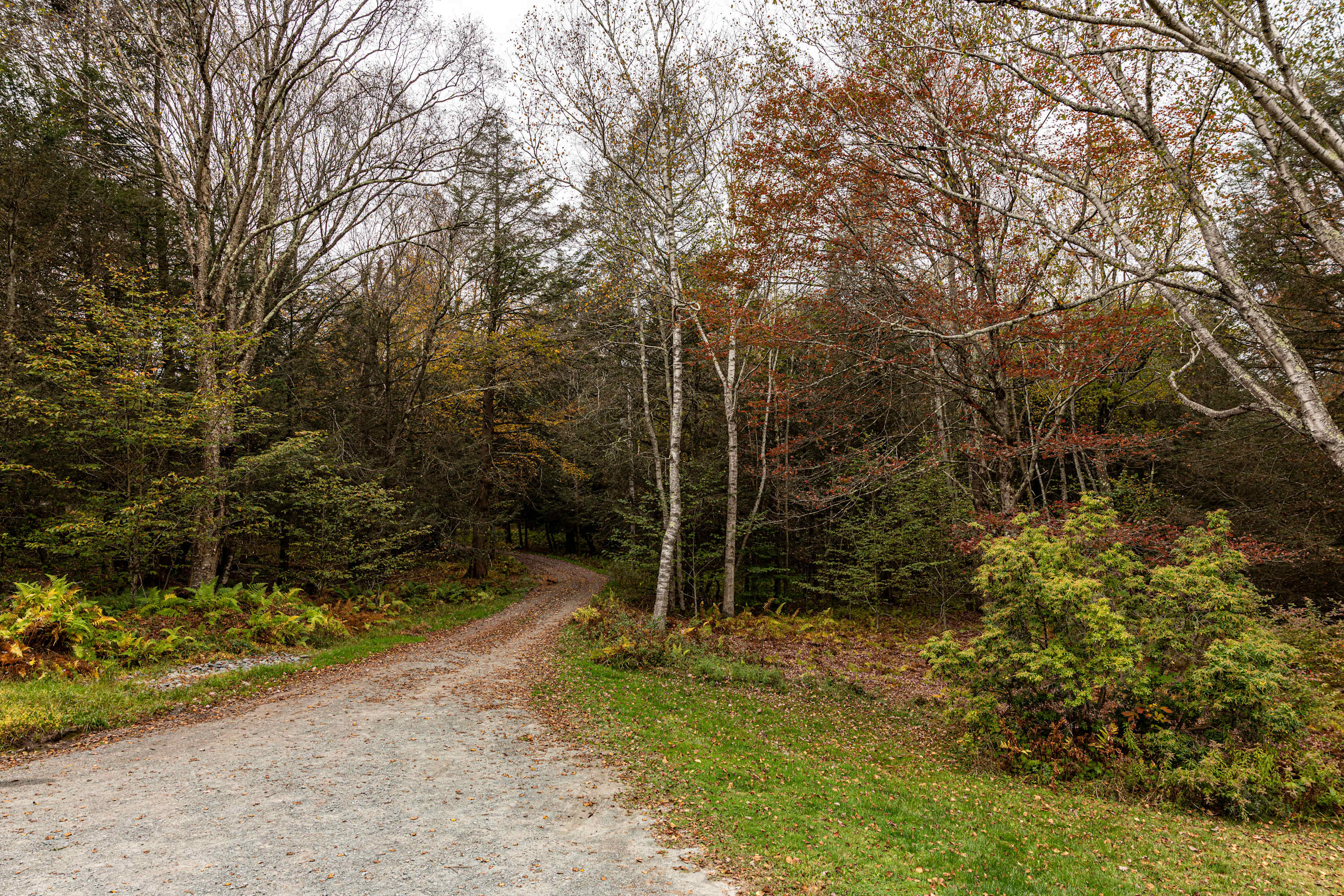 3BR Chalet: Deck, Fire Pit, Gazebo, Forest Views