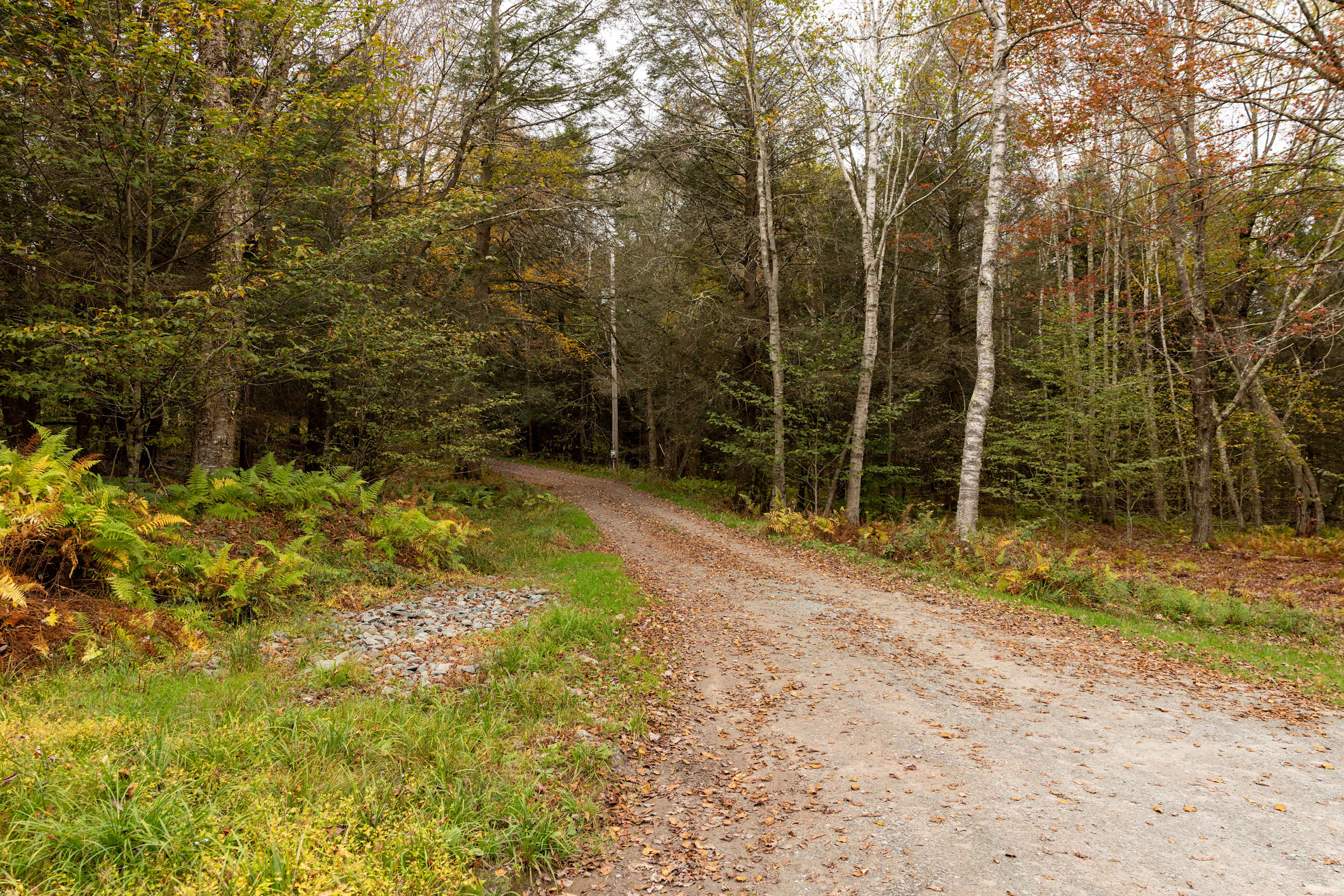 3BR Chalet: Deck, Fire Pit, Gazebo, Forest Views