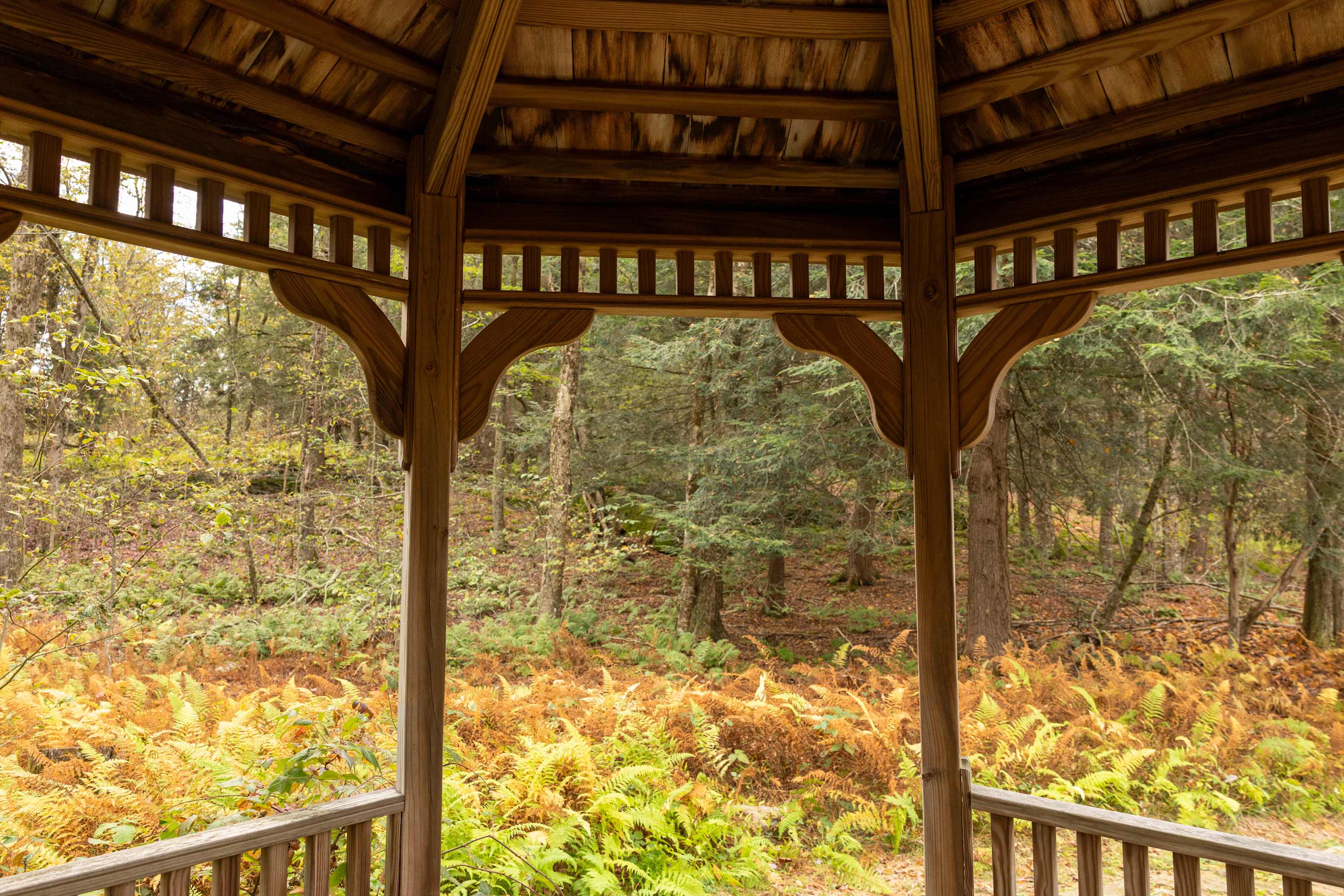 2BR Chalet: Deck, Fireplace, Loft, Forest Views