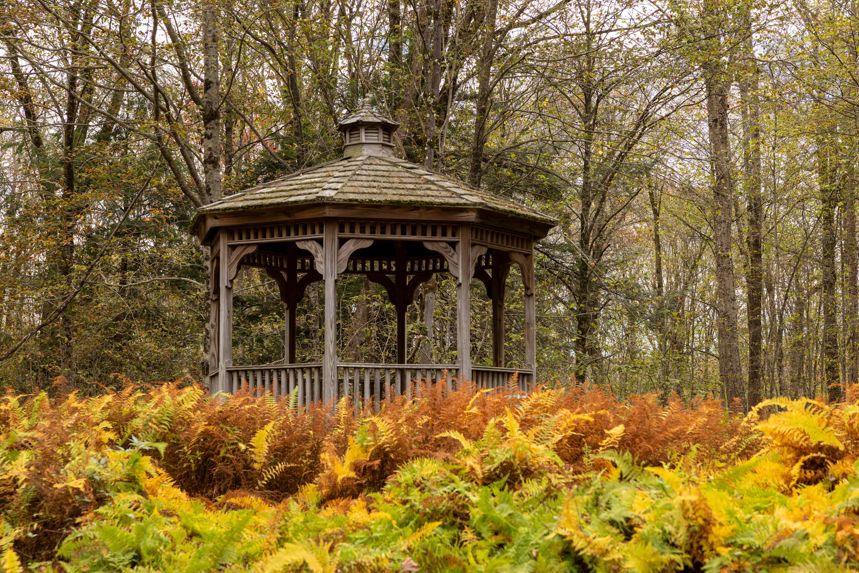 2BR Chalet: Deck, Fireplace, Loft, Forest Views