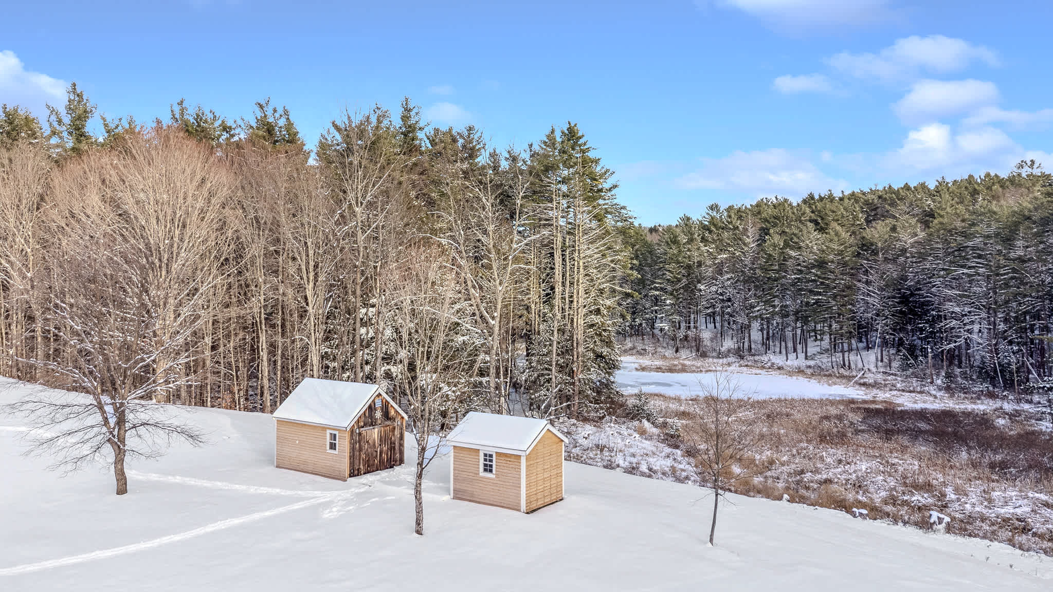 Blue & Sonny Hollow: Modern Cabin Firepit & Trails