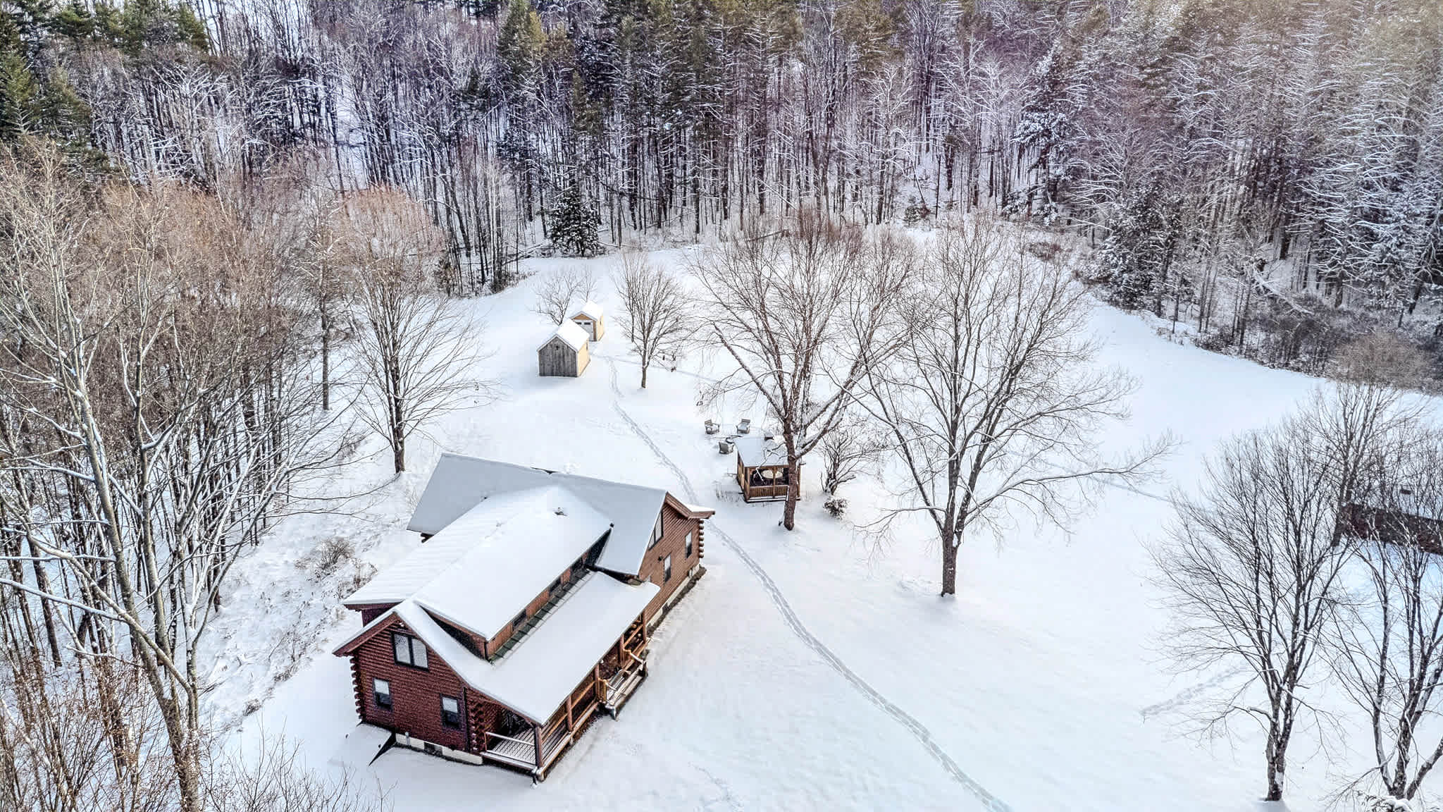 Blue & Sonny Hollow: Modern Cabin Firepit & Trails