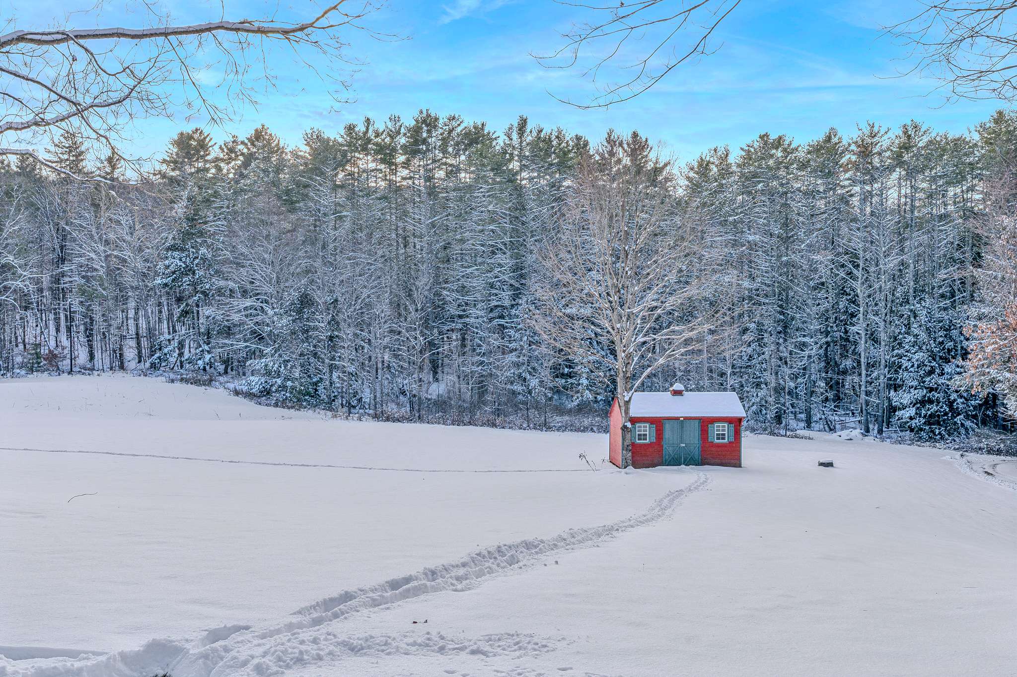 Blue & Sonny Hollow: Modern Cabin Firepit & Trails