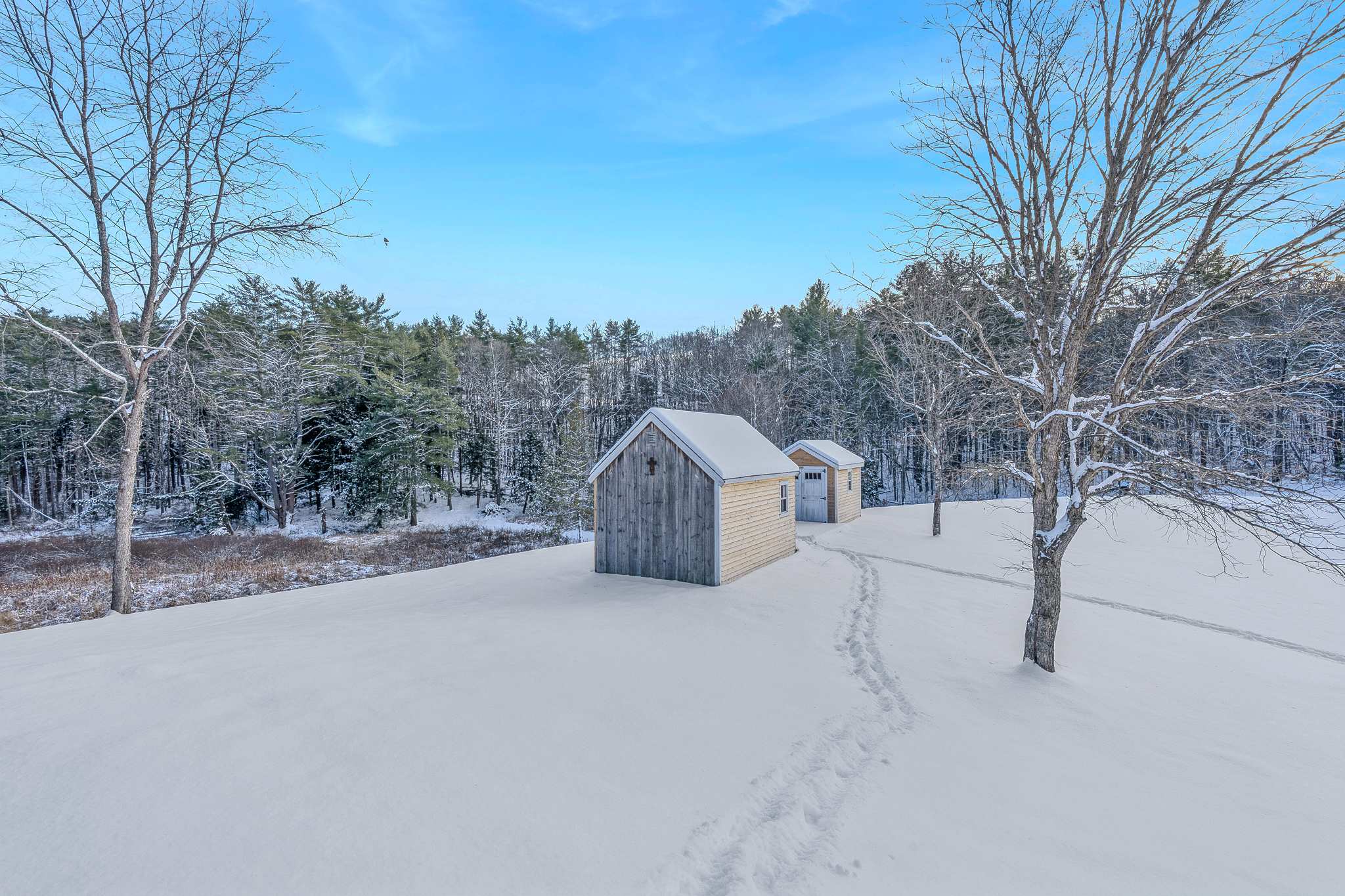 Blue & Sonny Hollow: Modern Cabin Firepit & Trails