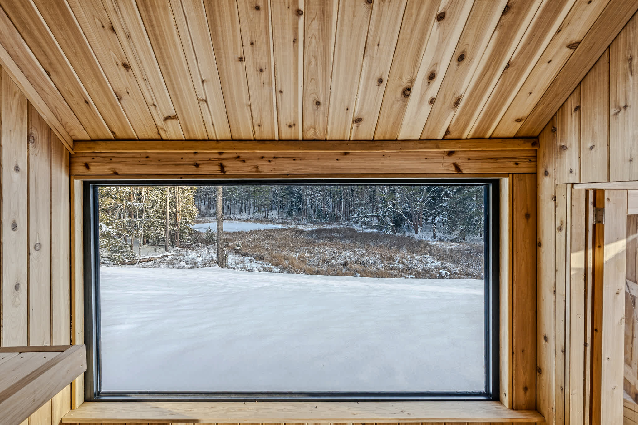 Blue & Sonny Hollow: Modern Cabin Firepit & Trails