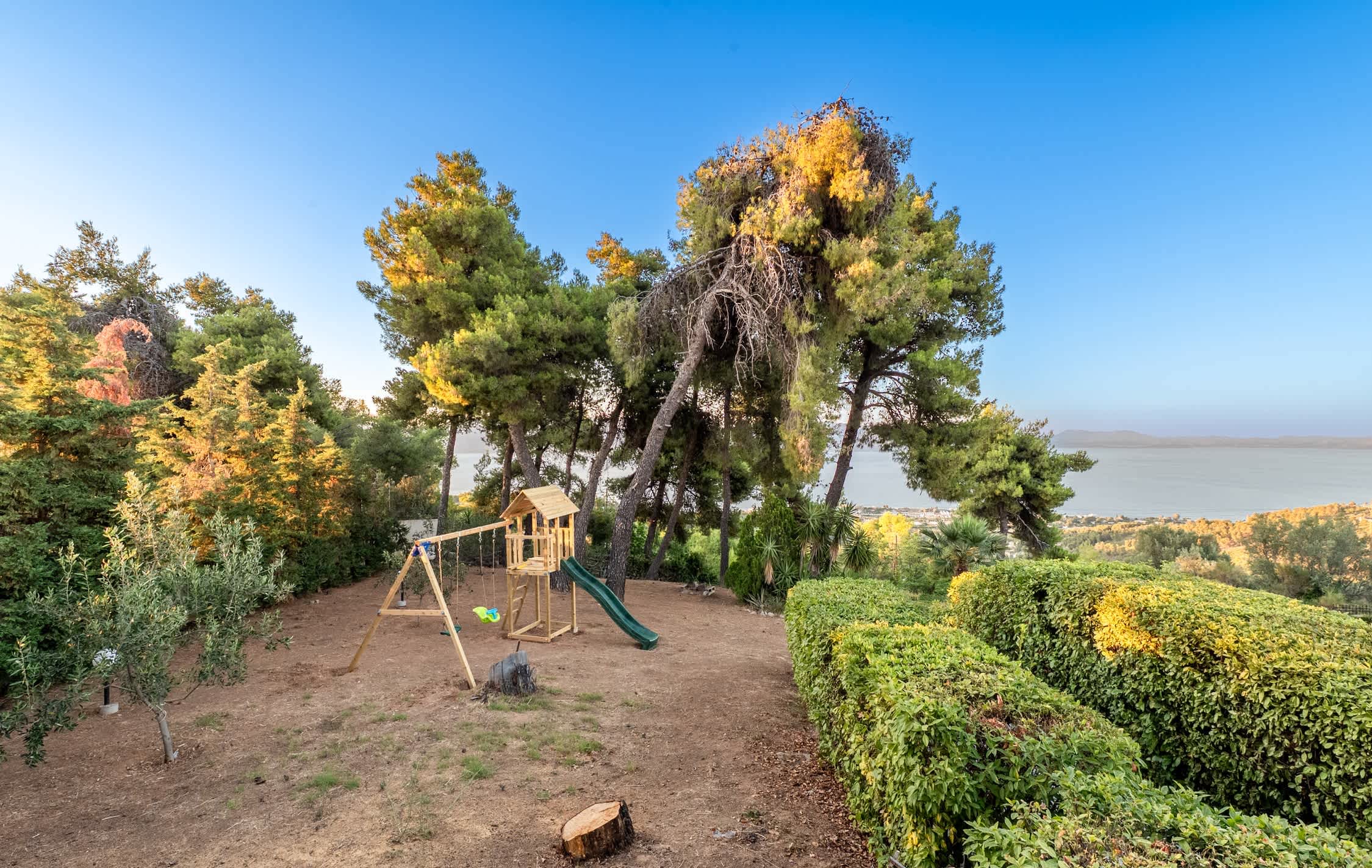 View 5