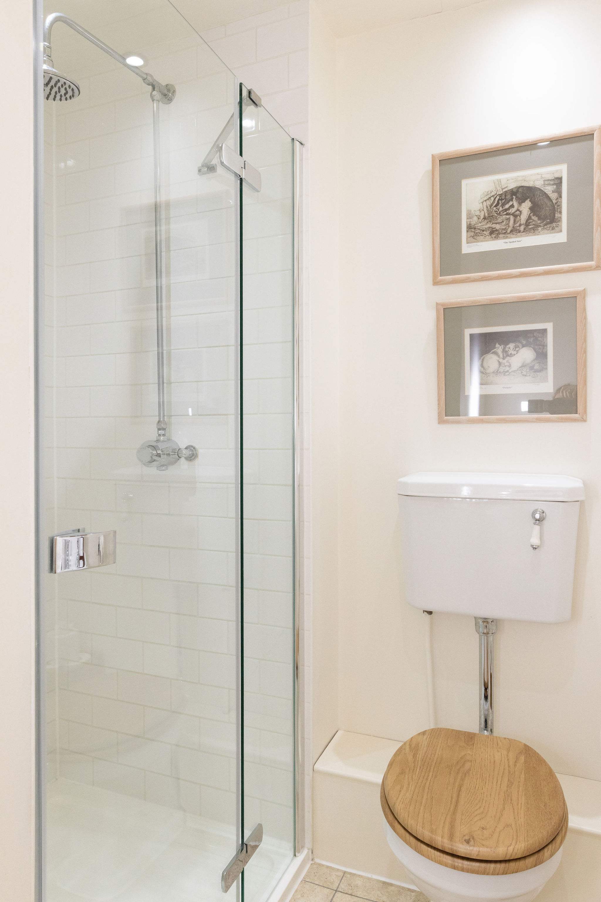 Modern downstairs shower room