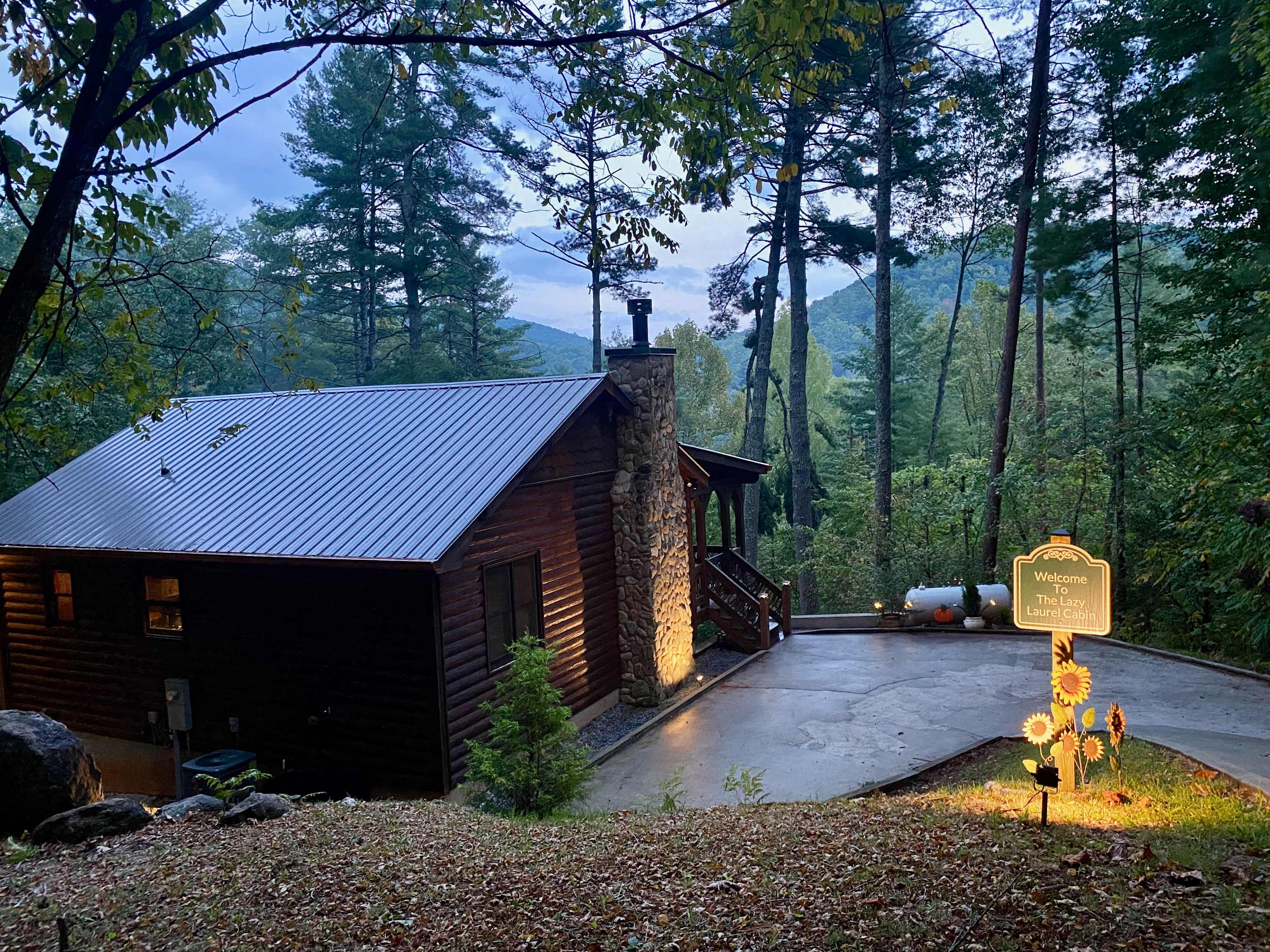 Waterfall Sounds,Mountain Views,Pets,Hot Tub — Cherry Log, GA — vacation rental