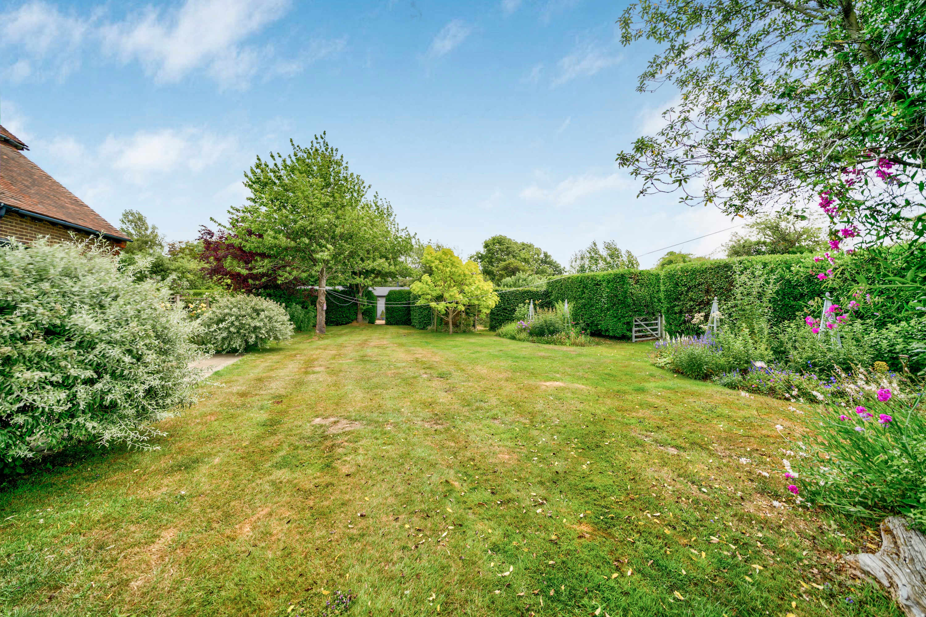 The secure garden with luscious lawn and hedging
