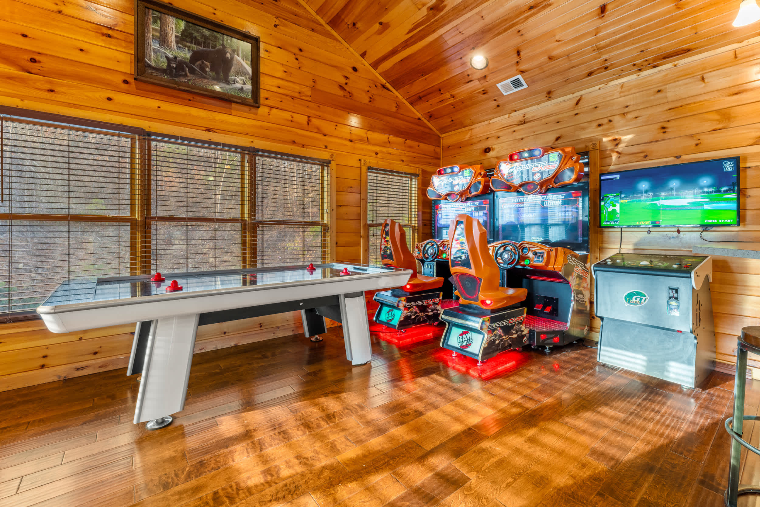 Ultimate Game Room: Air hockey, Racing, Golden Tee, and shooting arcades!